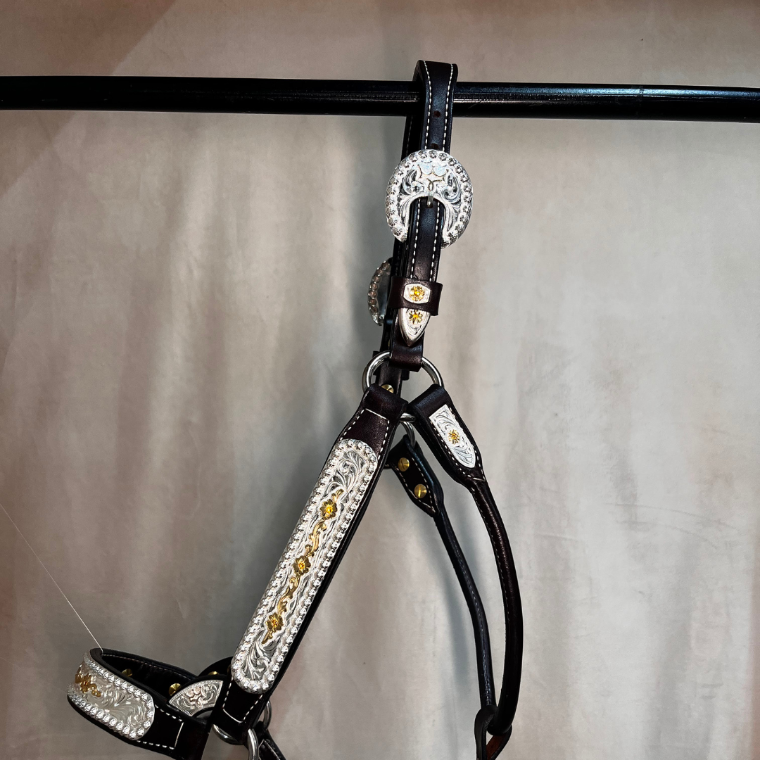 In-Stock Halters