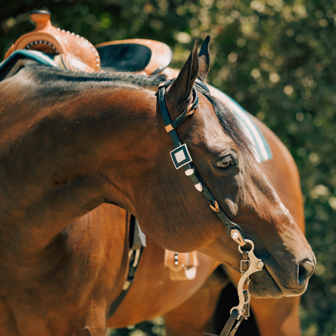 Headstalls