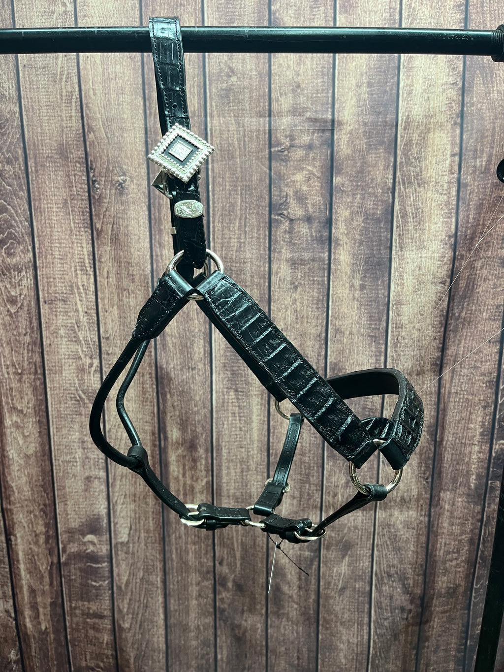 Caiman Halter #2 Horse