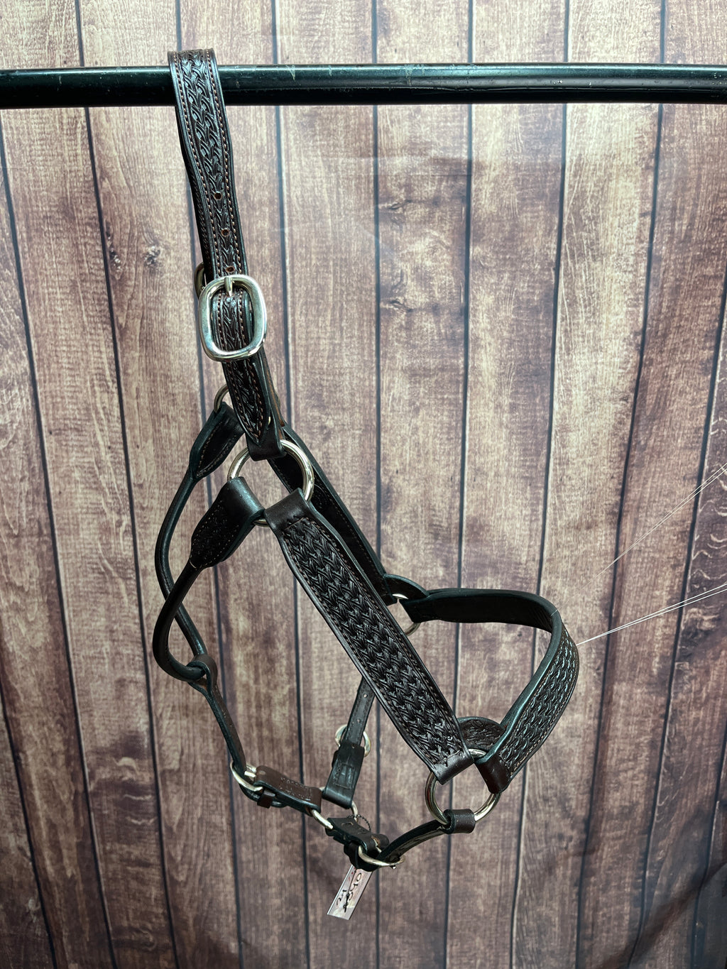 Tooled Halter #33 2Yr/Mare
