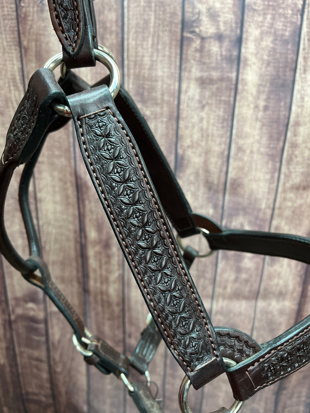 Tooled Halter #32 2Yr/Mare