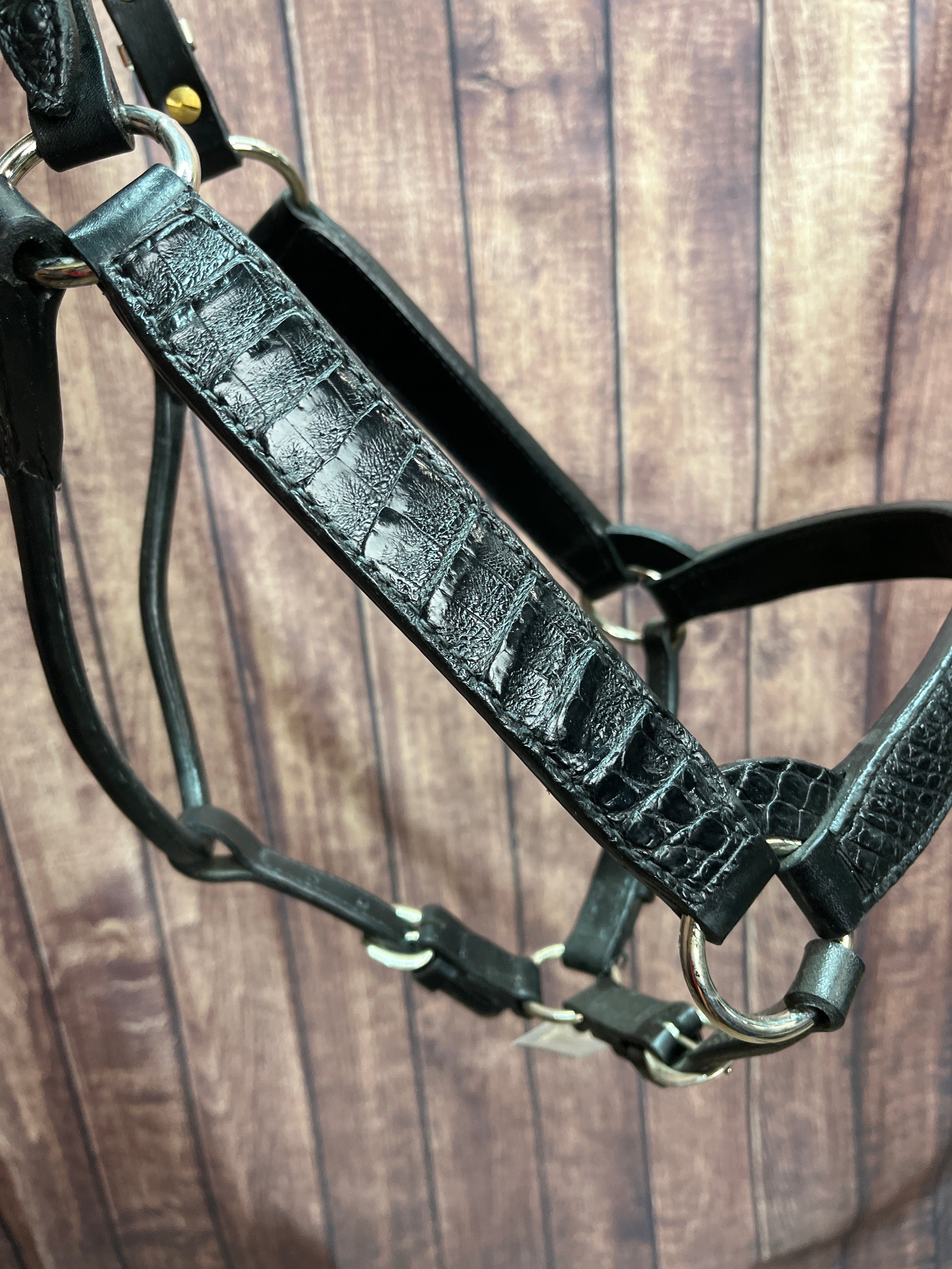 Ostrich Halter #9 Horse