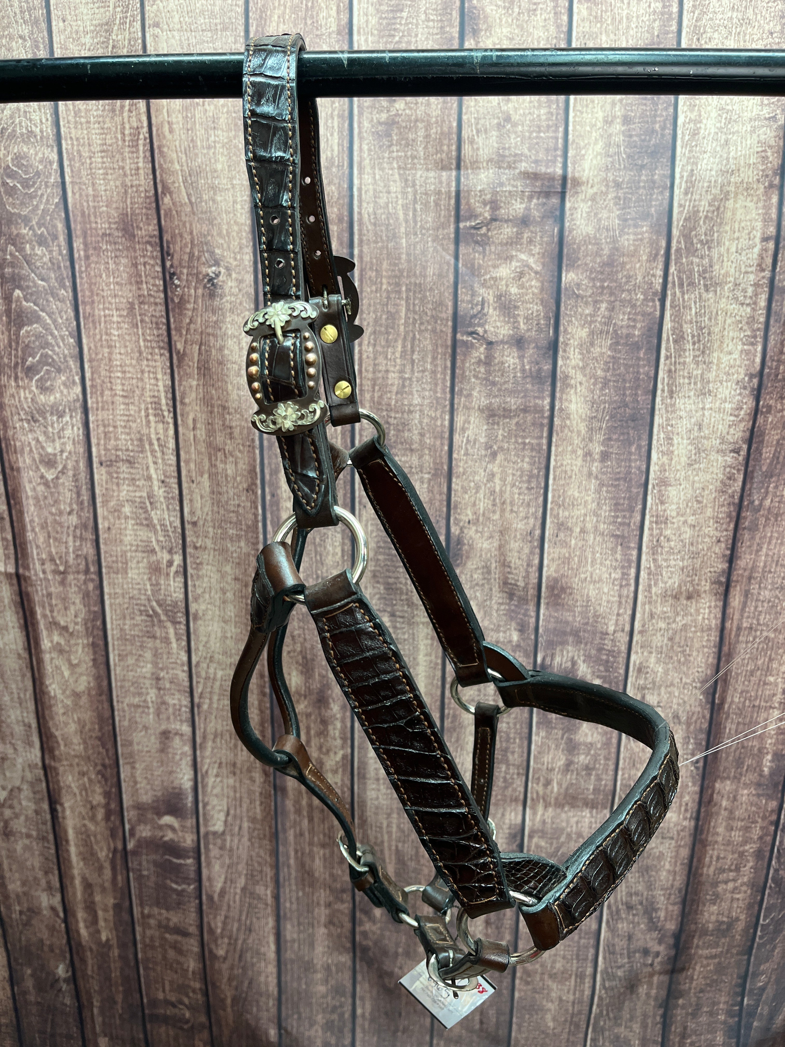 Caiman Halter #38 2Yr/Mare