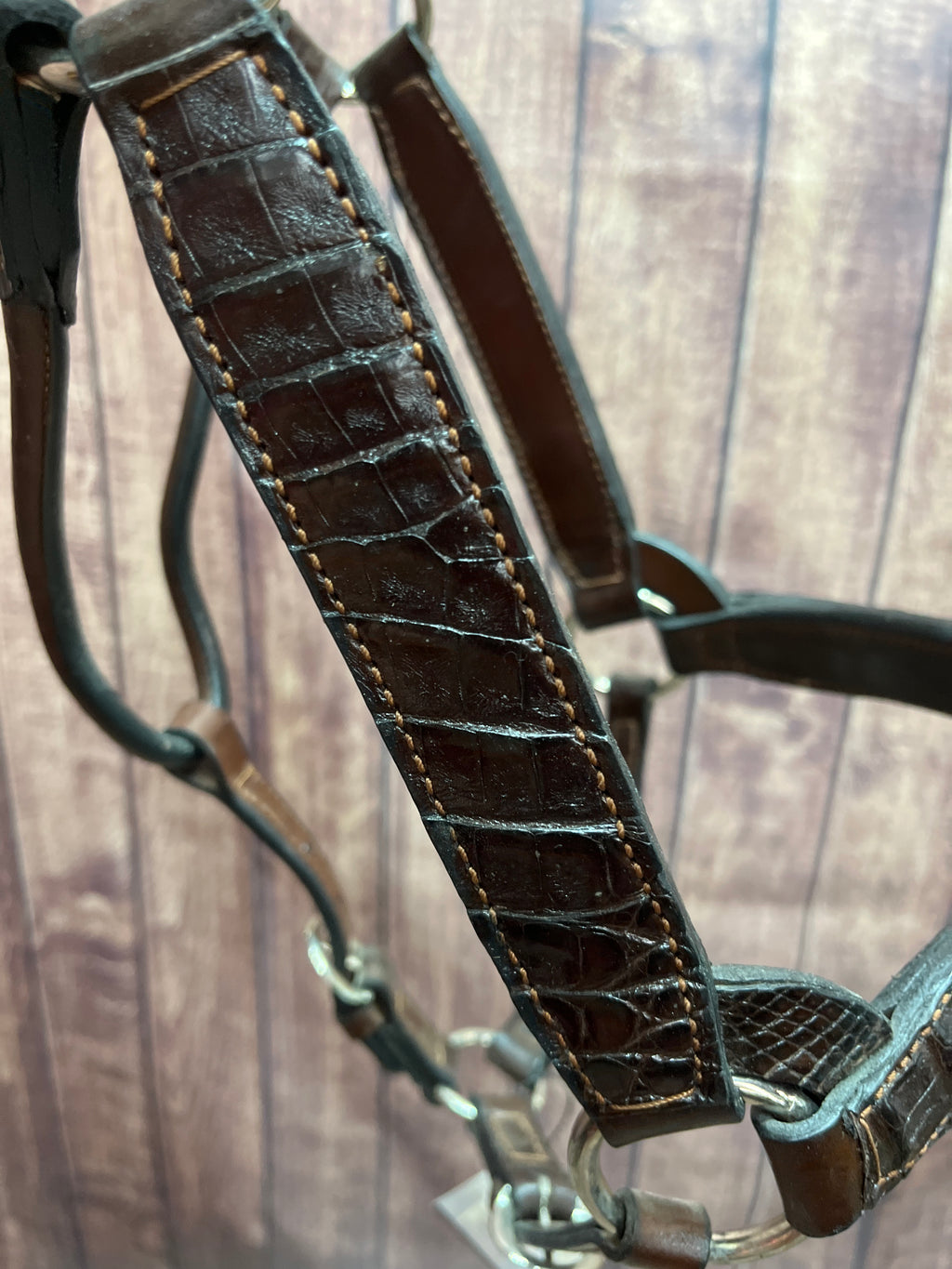 Caiman Halter #38 2Yr/Mare