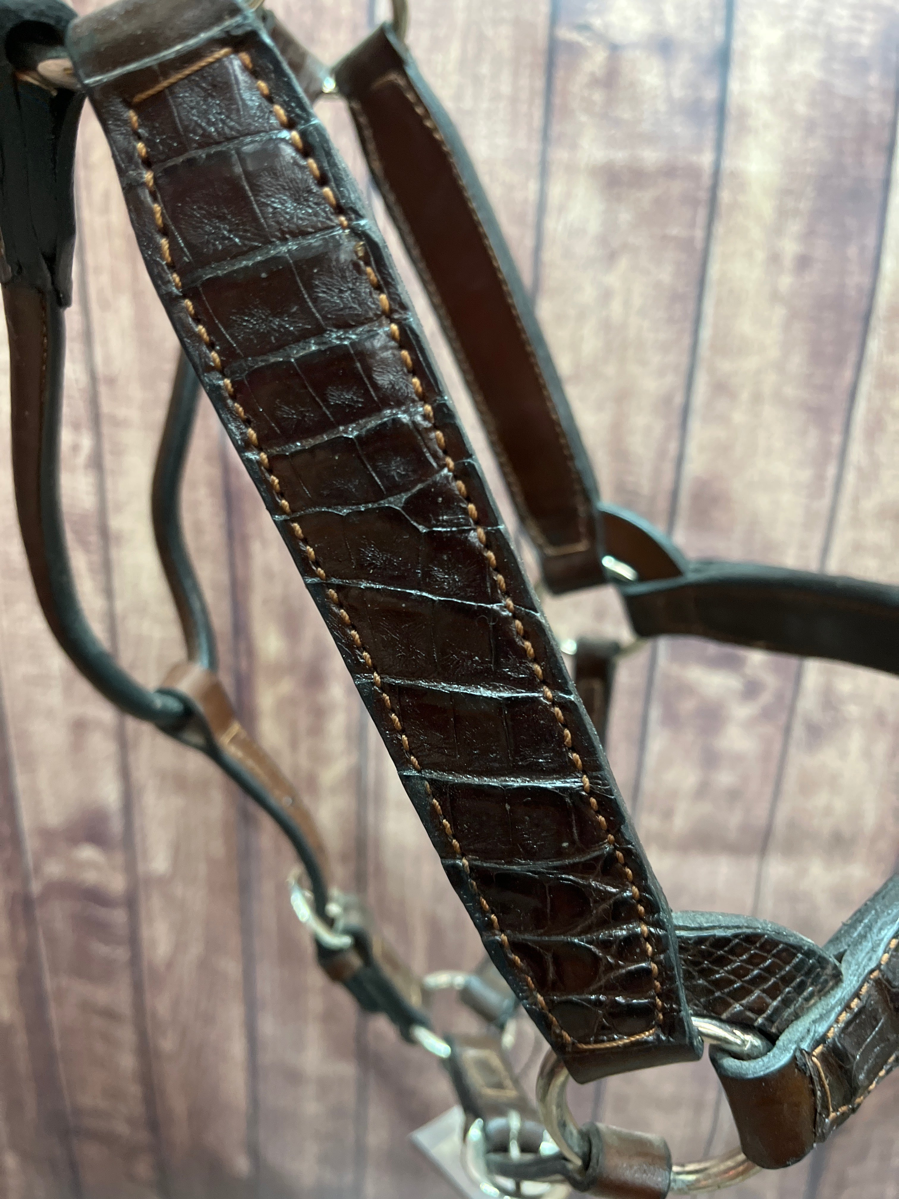 Caiman Halter #38 2Yr/Mare