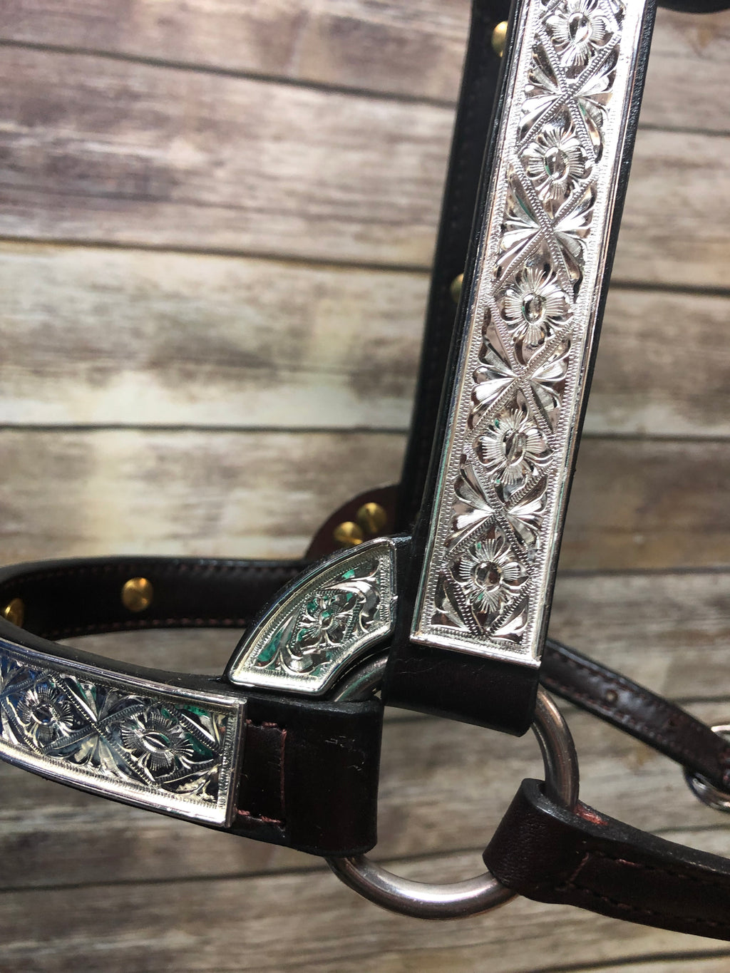 #104 Santana Halter