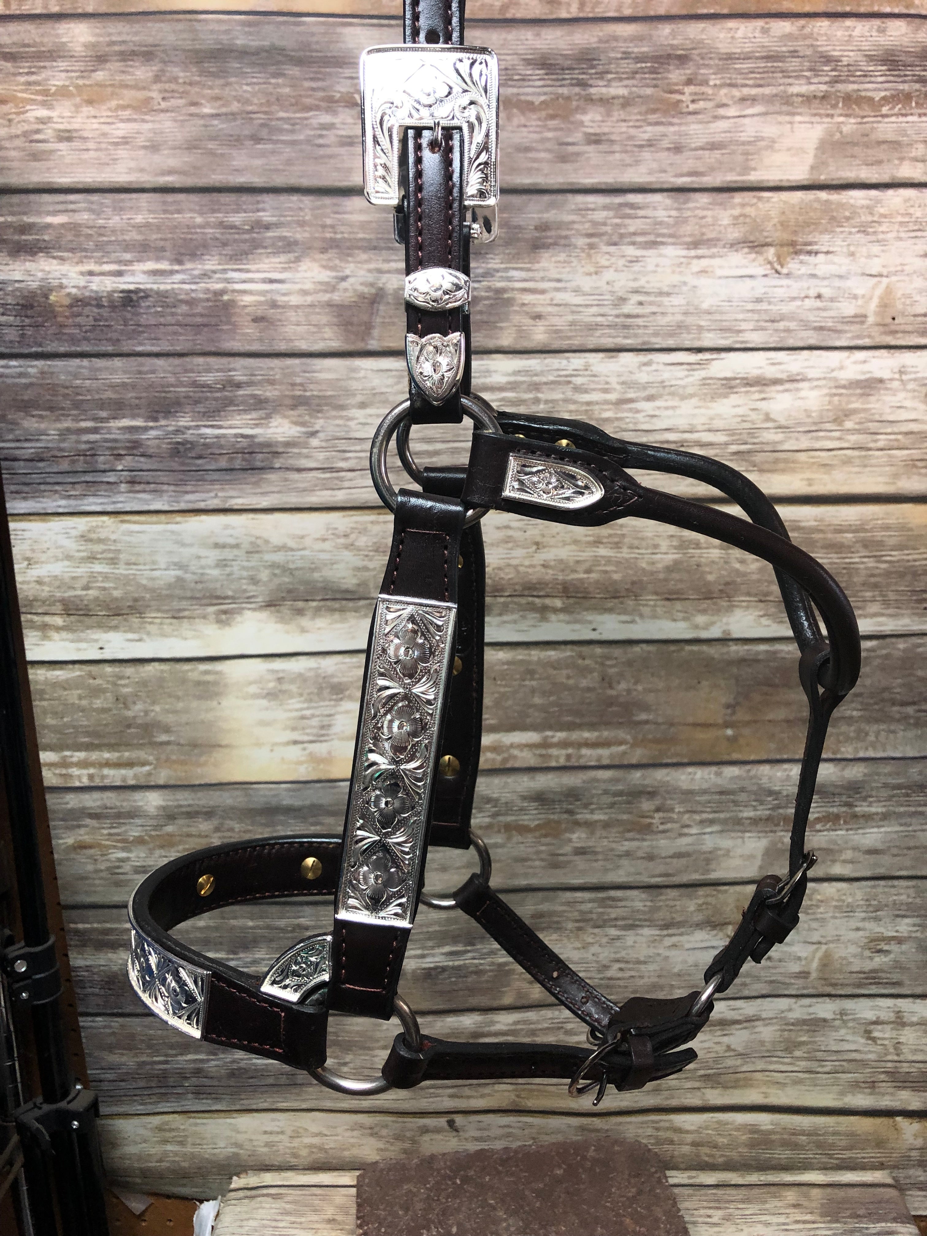 #104 Santana Halter