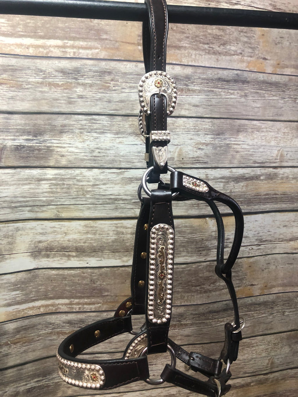 #25 Sterling Overlay Halter