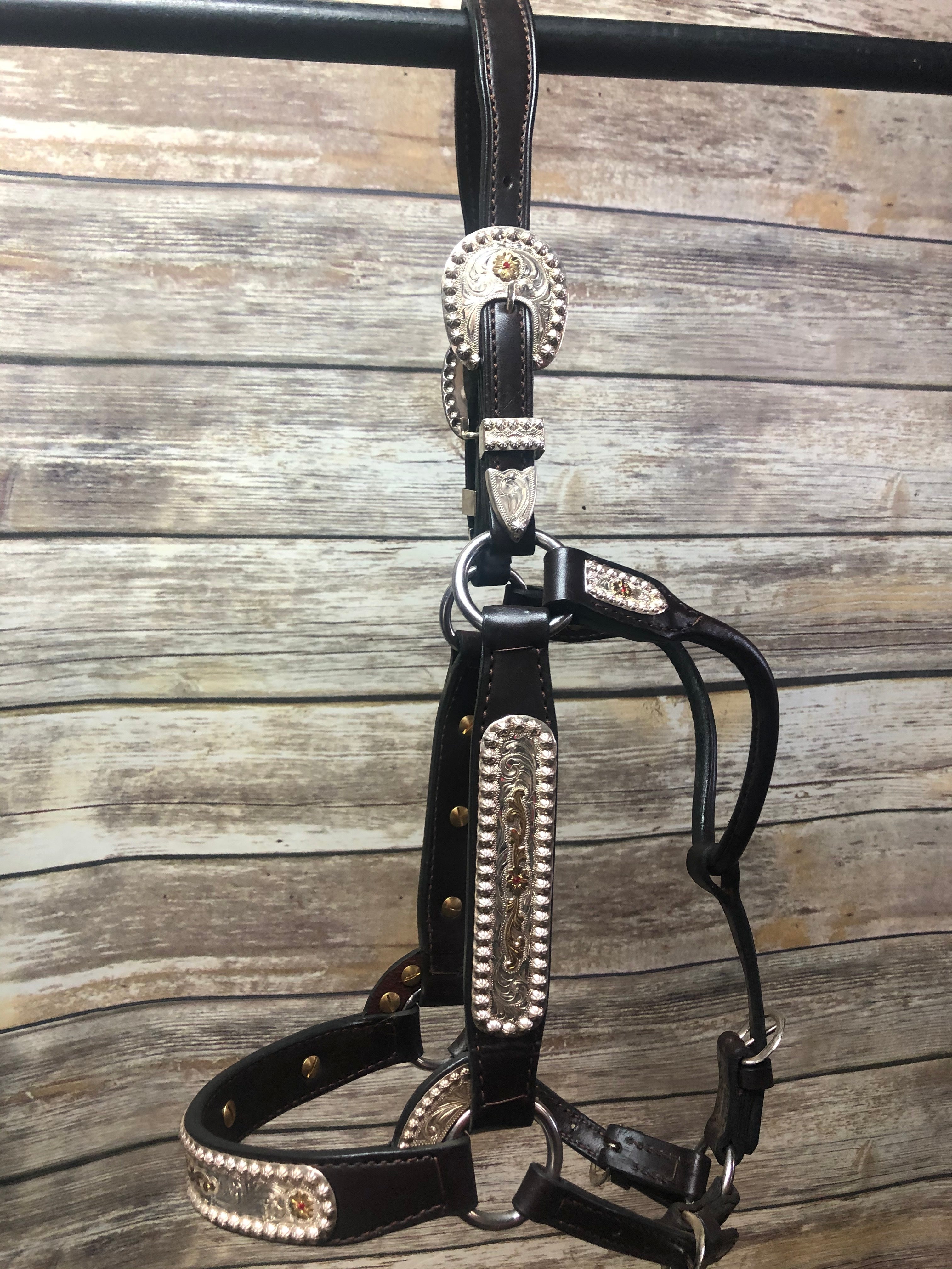 #25 Sterling Overlay Halter
