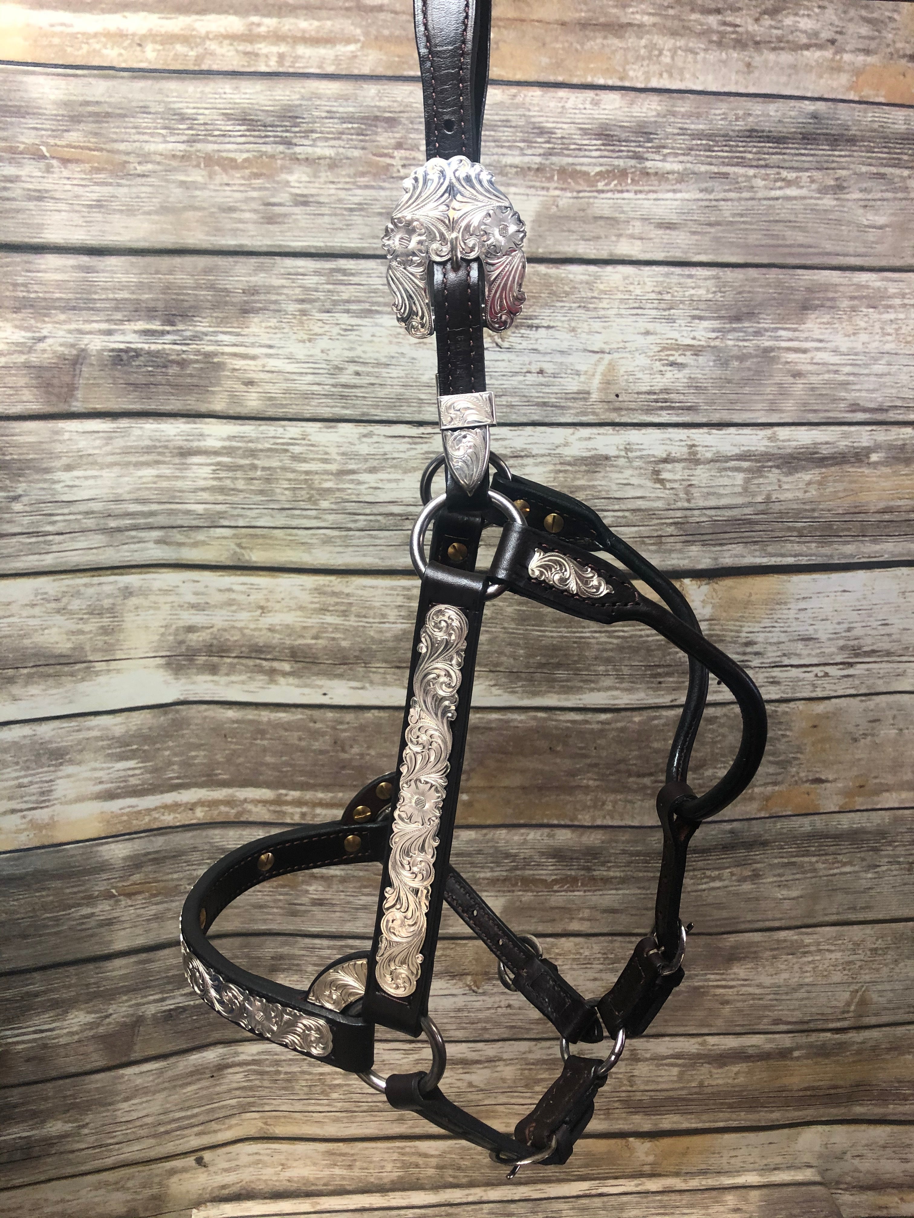 #17 Sterling Overlay Halter