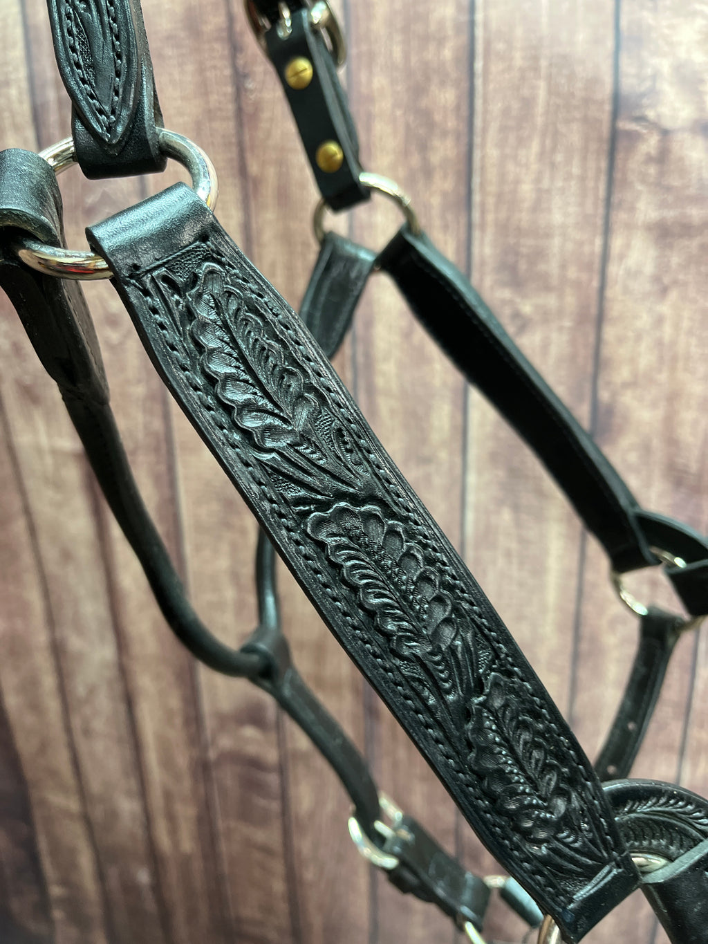 Tooled Halter #28 2Yr/Mare