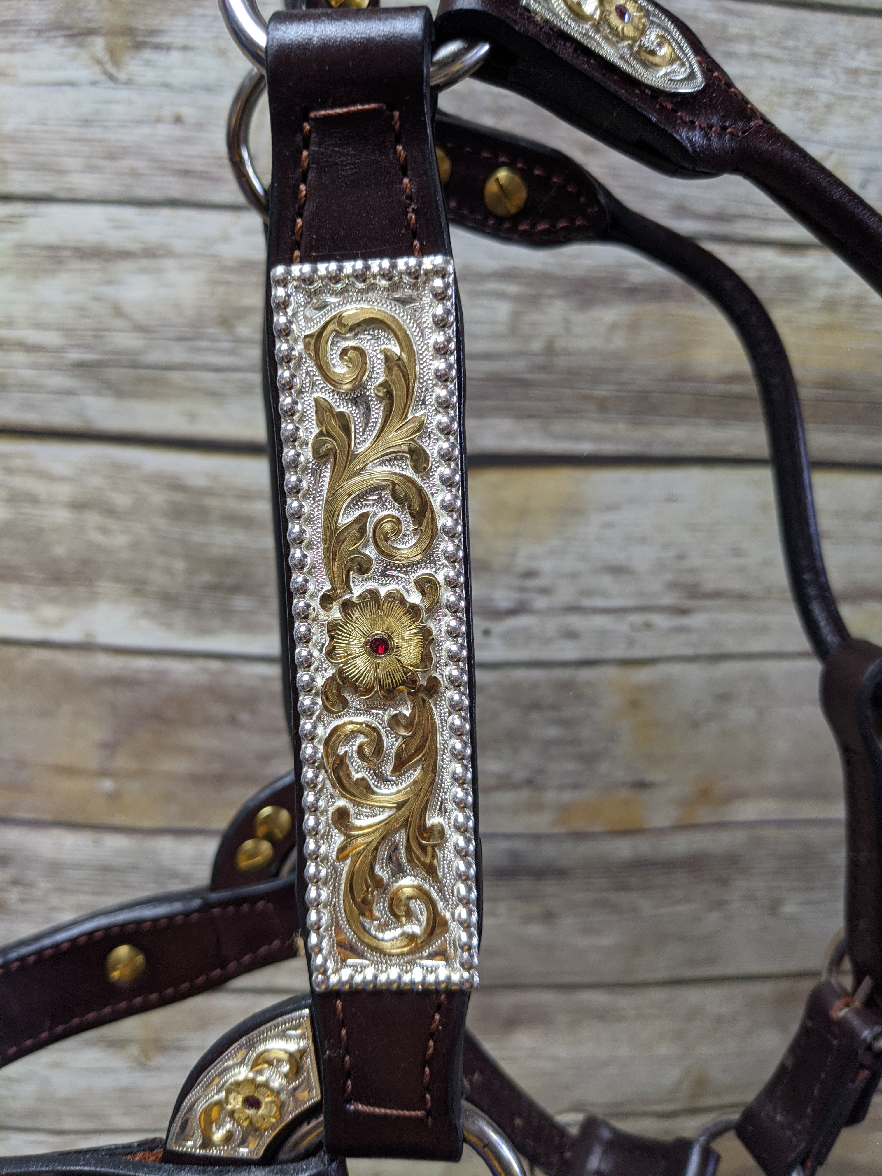 #258 Santana Halter
