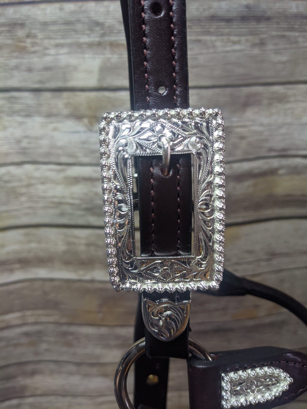 #102 Santana Halter