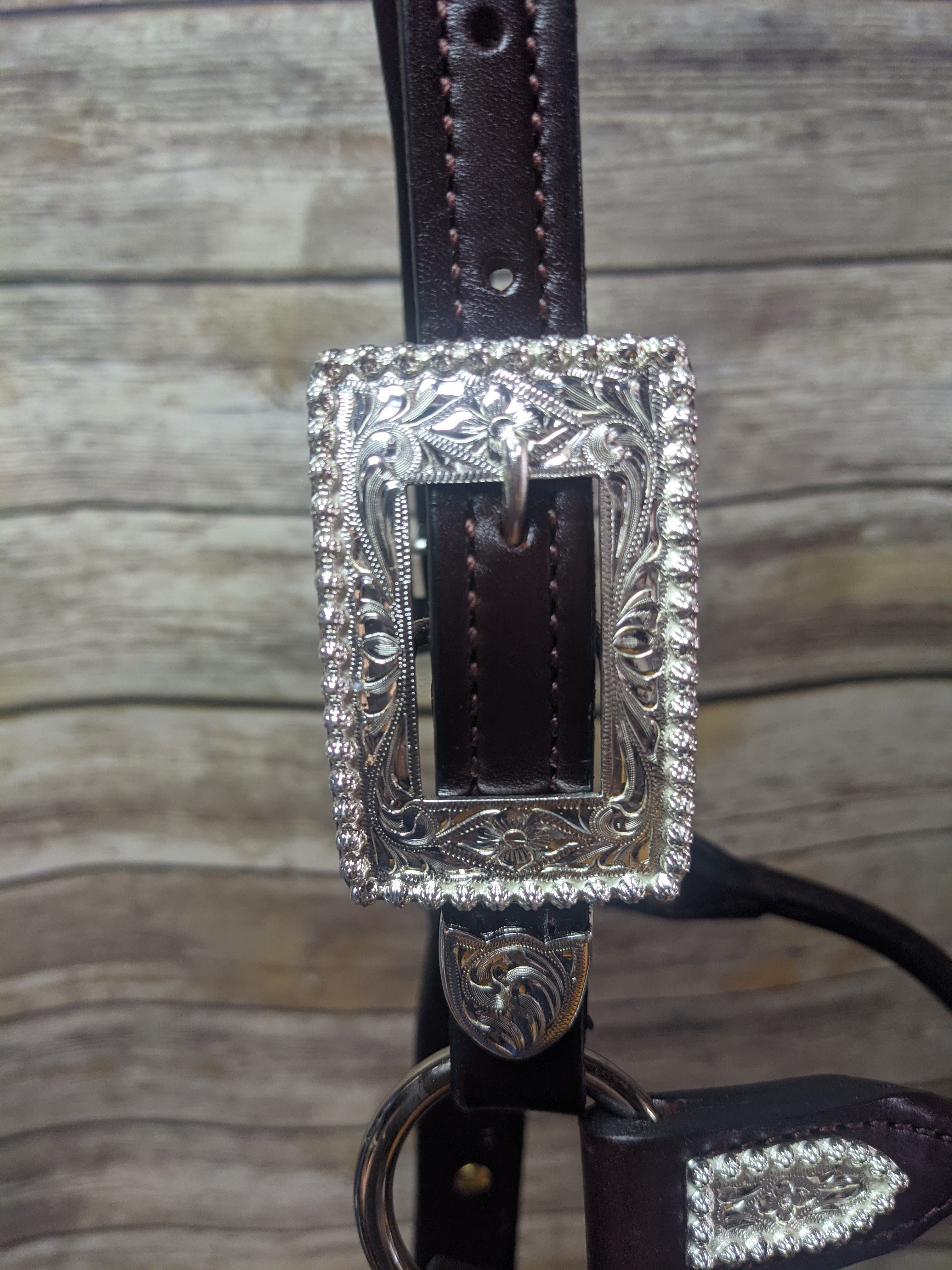 #102 Santana Halter