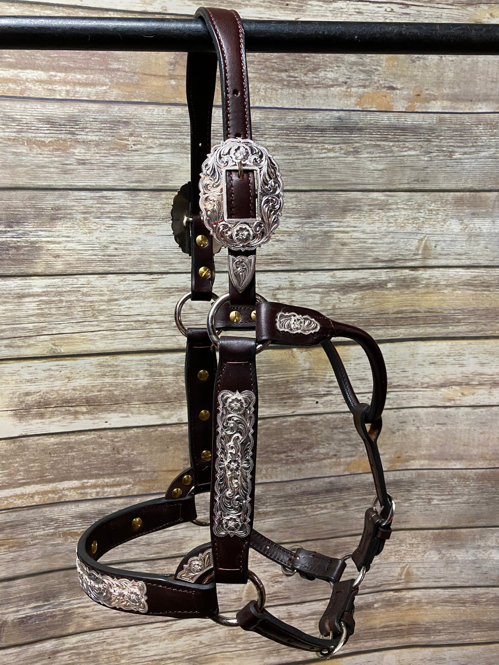 #22 Sterling Overlay Halter