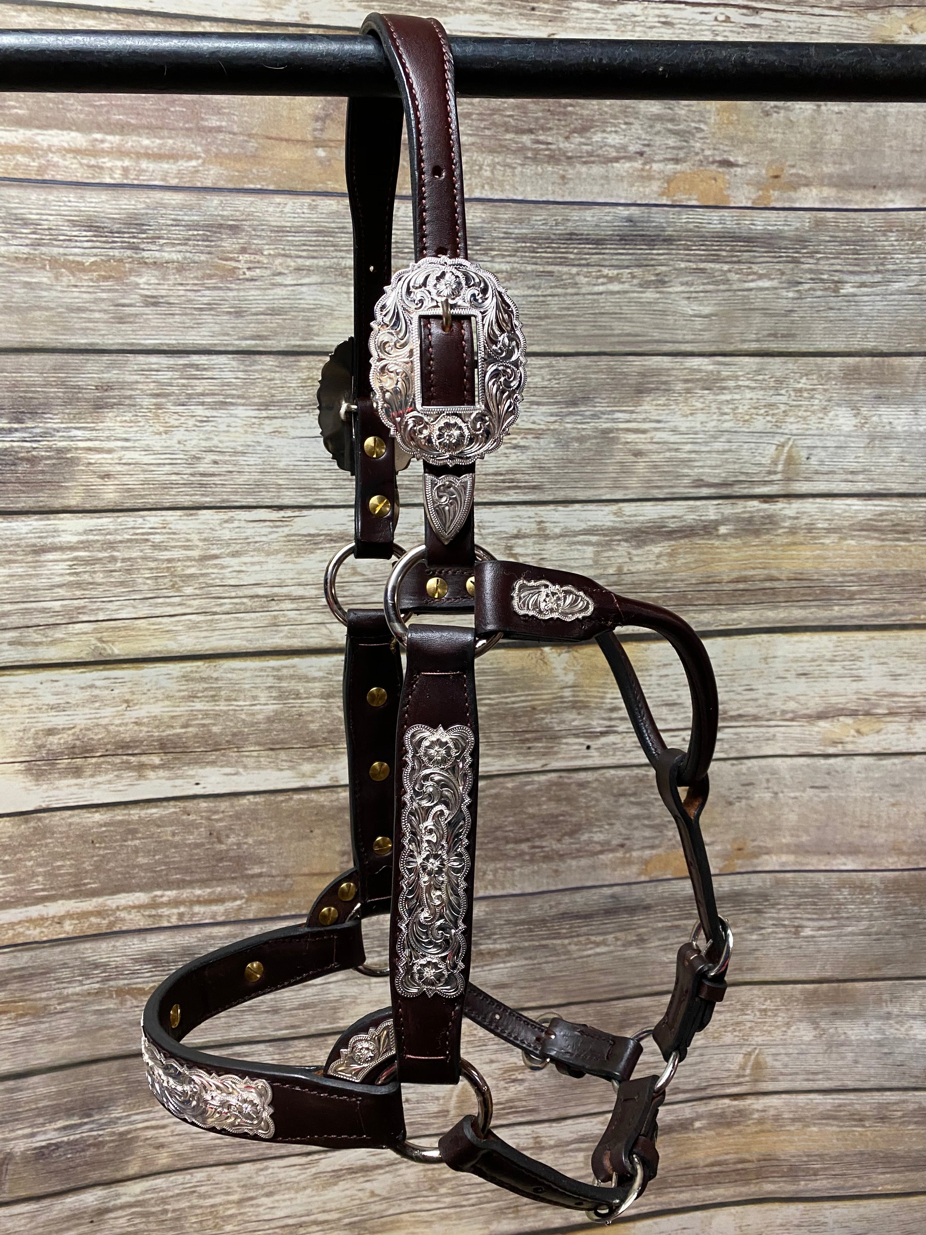 #22 Sterling Overlay Halter