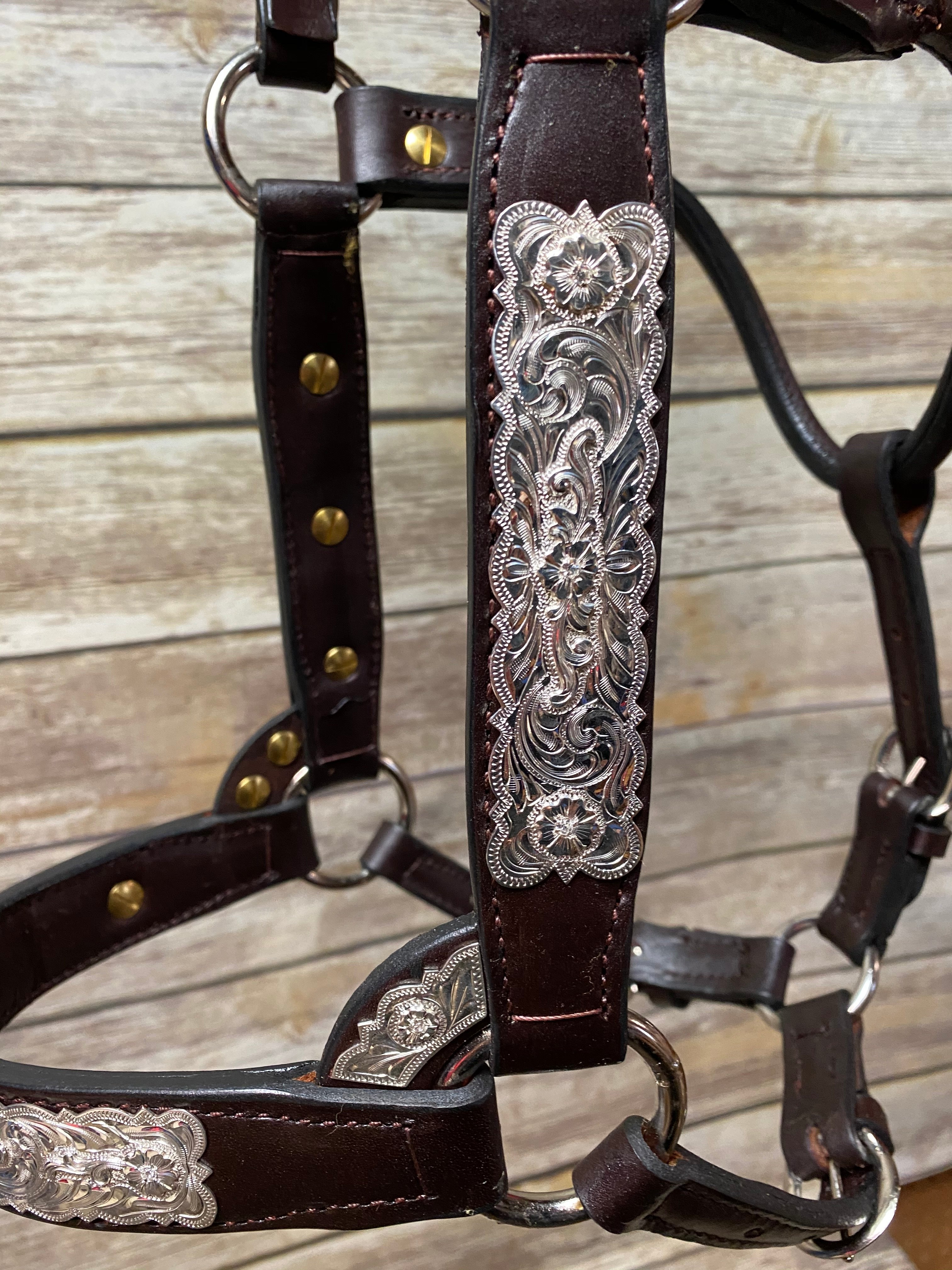 #22 Sterling Overlay Halter