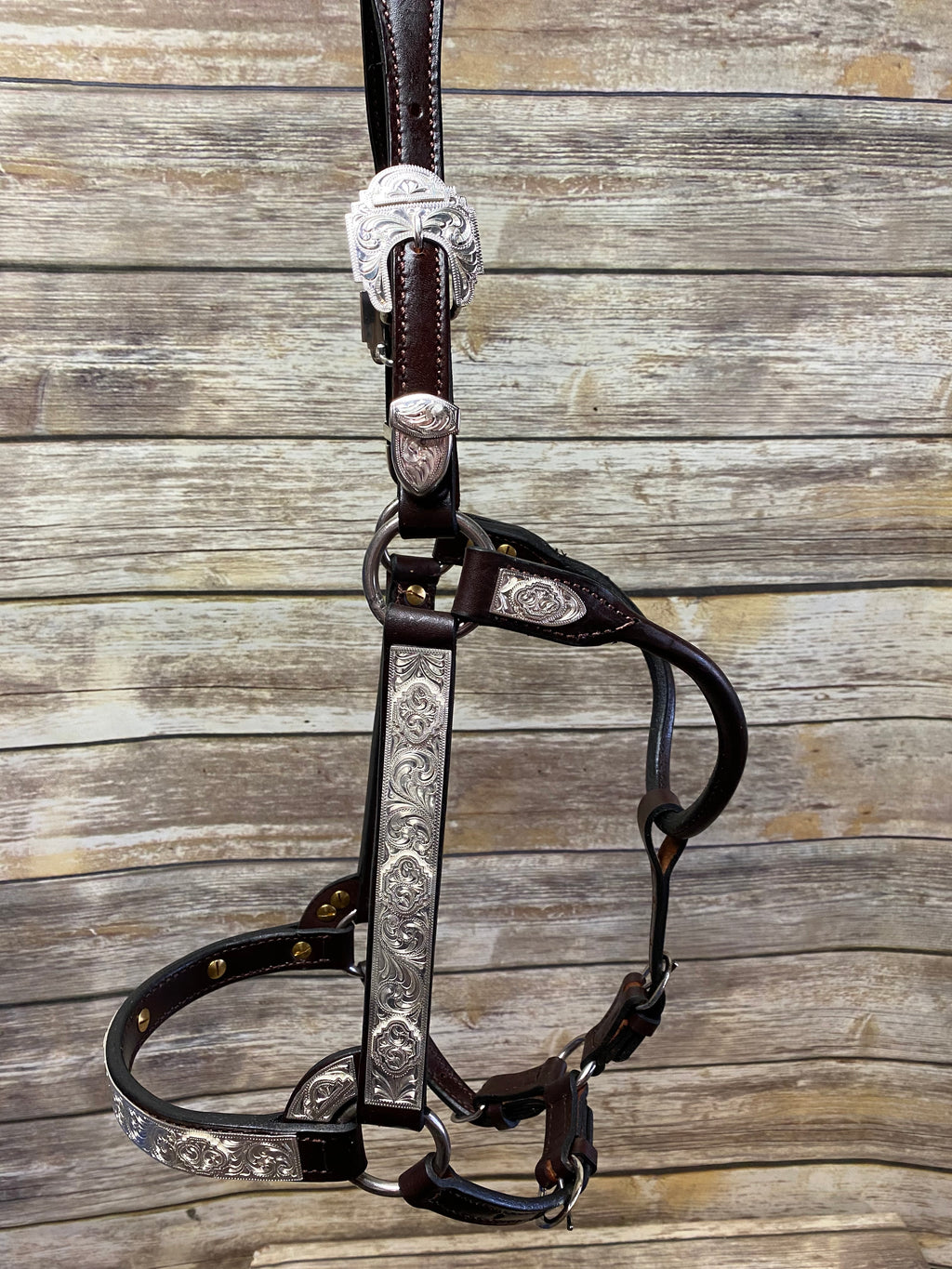 #110 Santana Halter