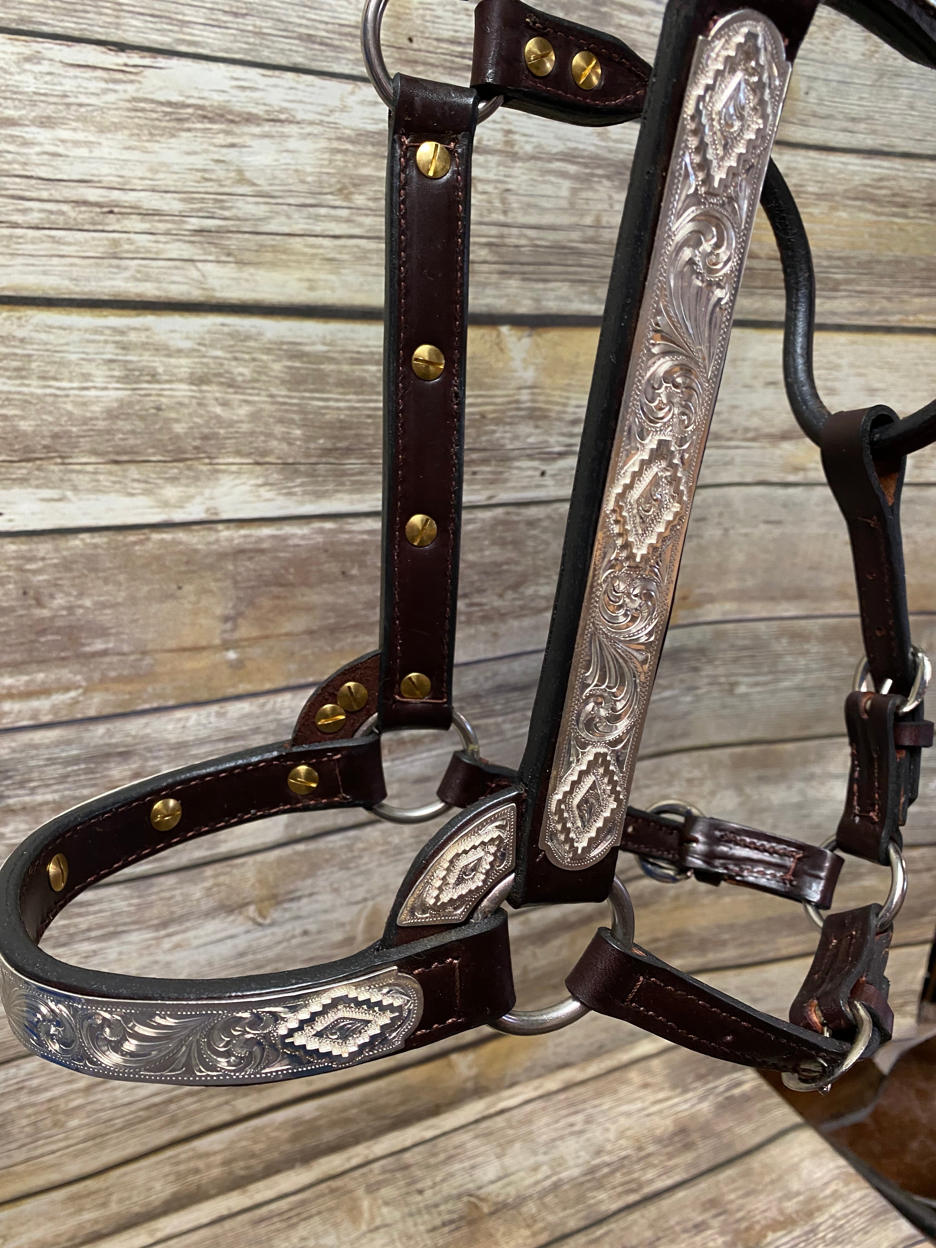 #112 Santana Halter