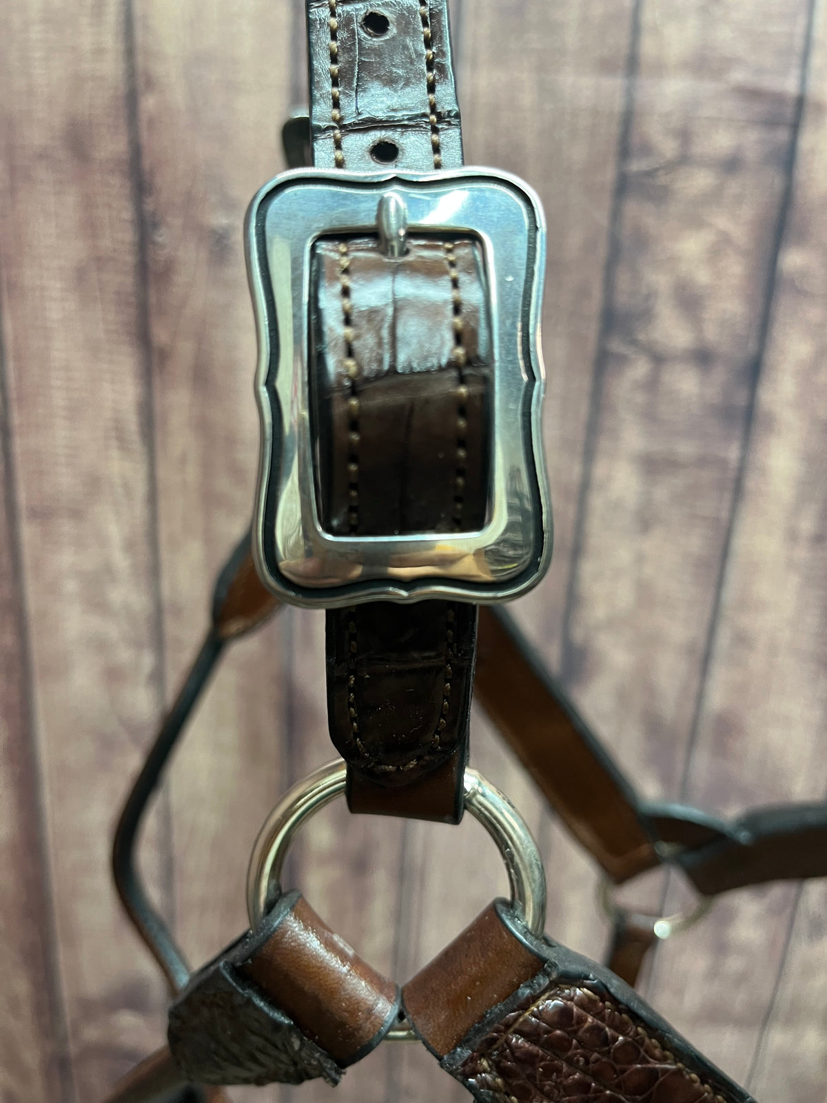 Caiman Halter #8 Yearling