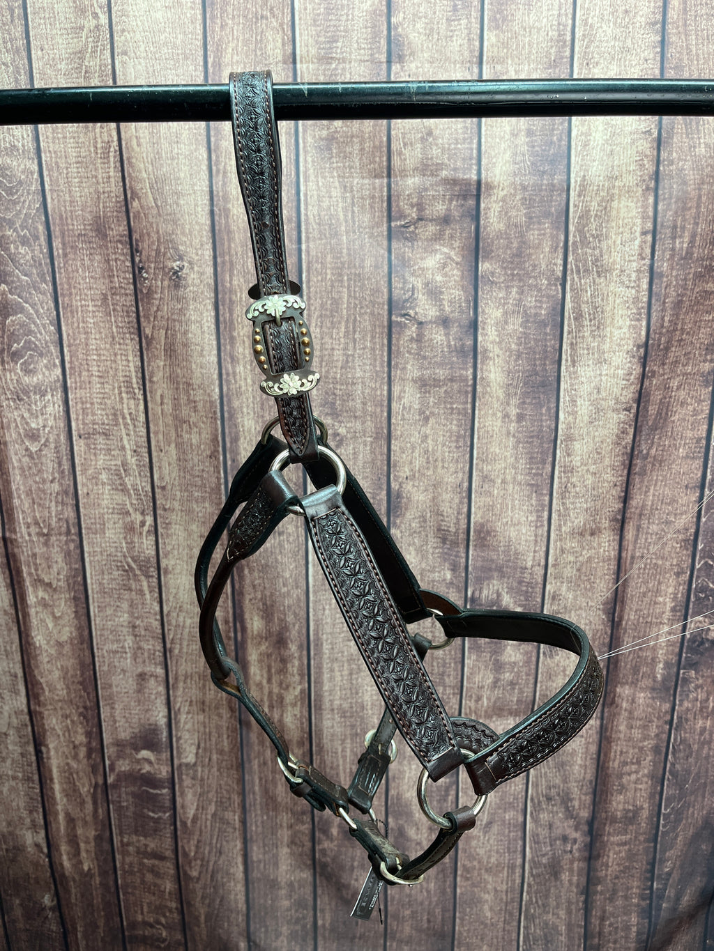 Tooled Halter #32 2Yr/Mare