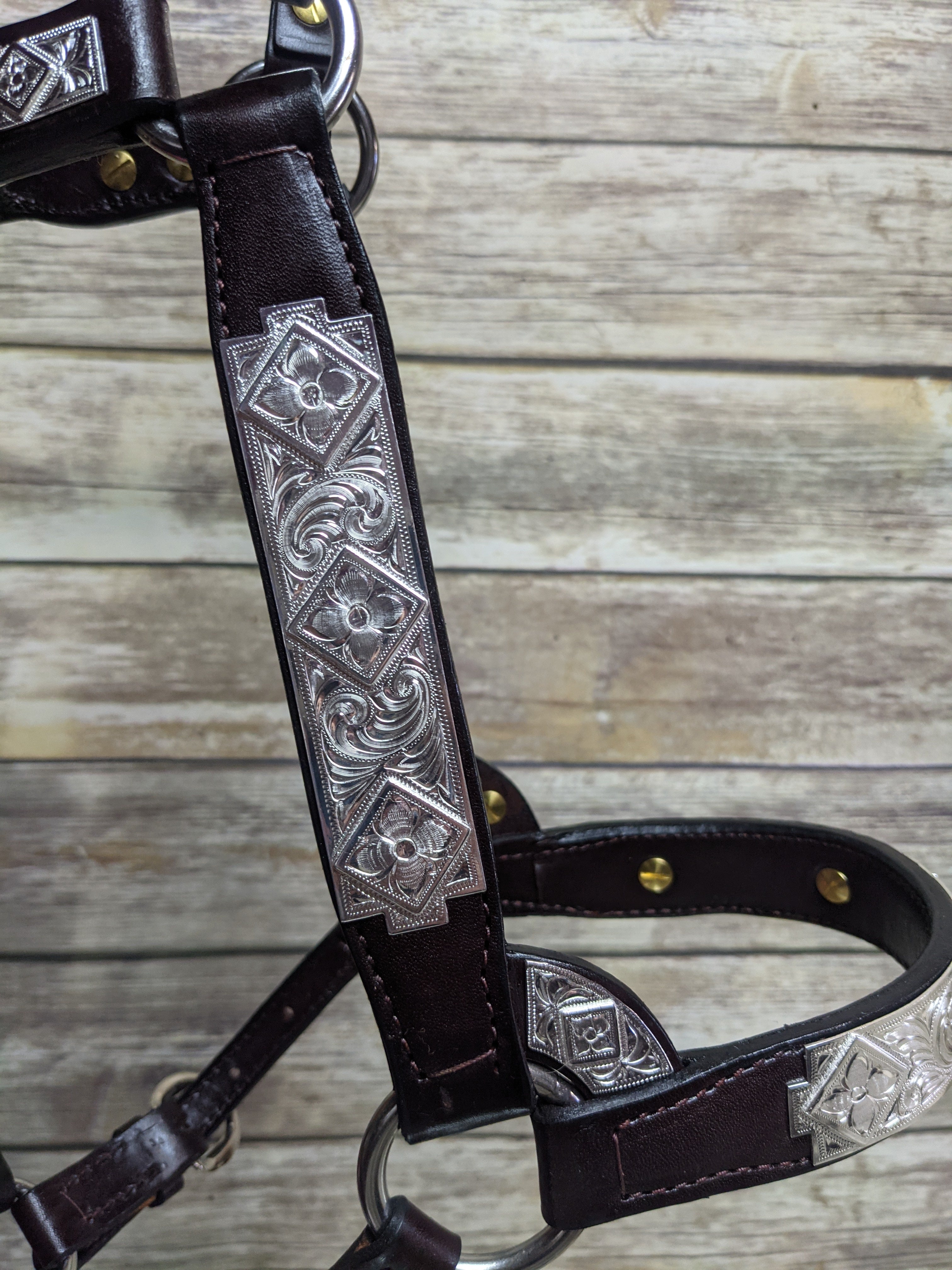 #105 Santana Halter