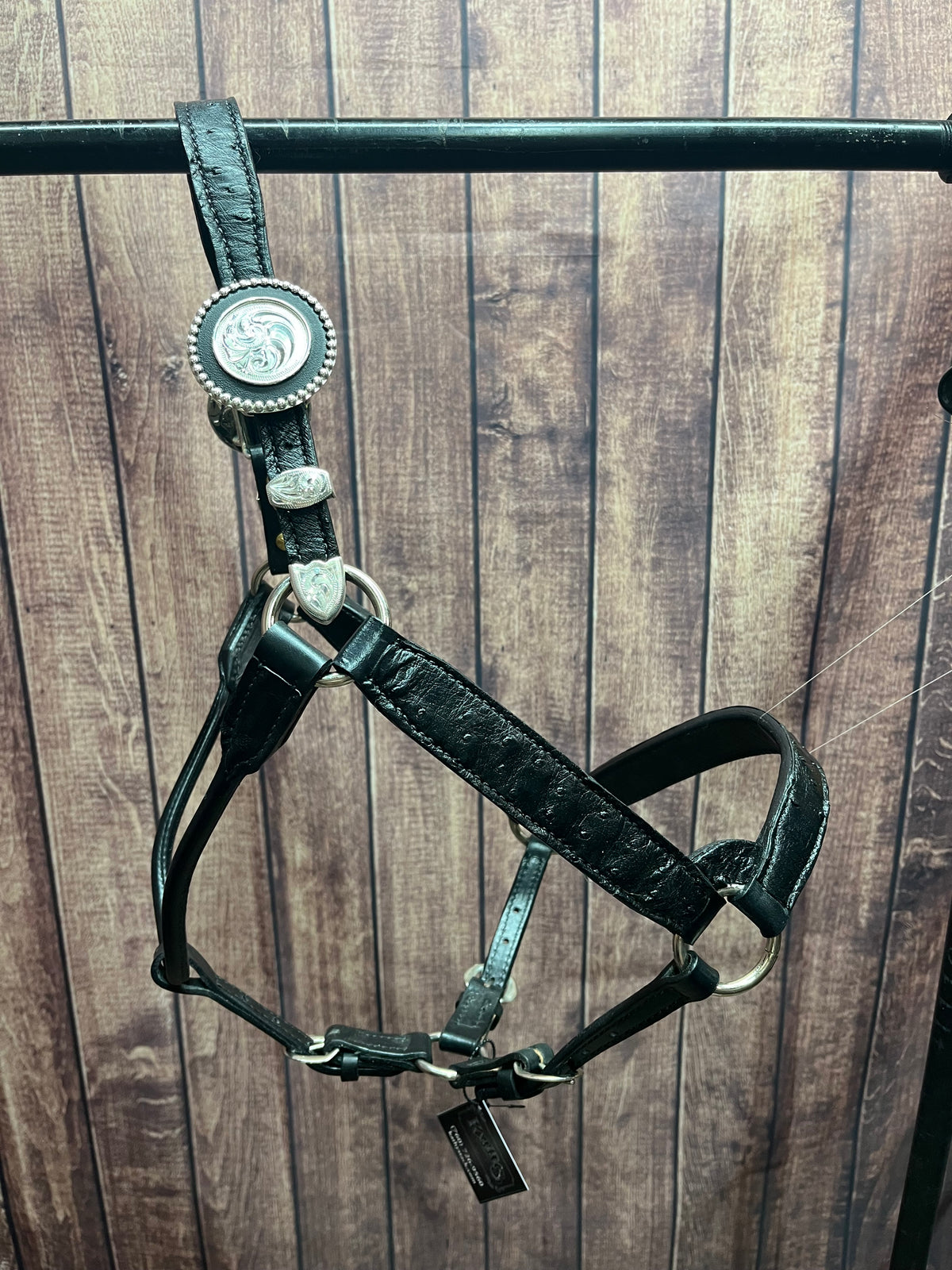 Caiman Halter #1 2Yr/Mare