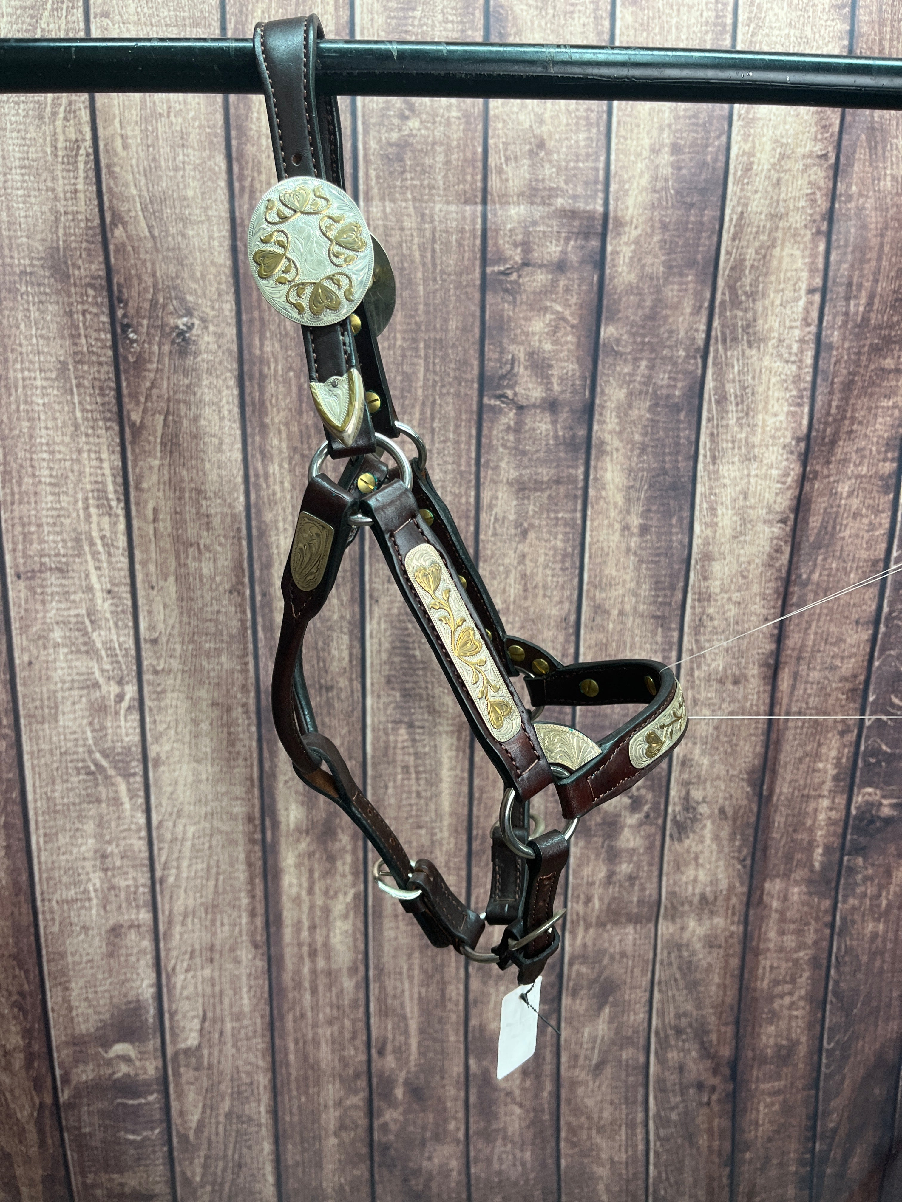 Broken Horn Sterling Overlay Weanling halter
