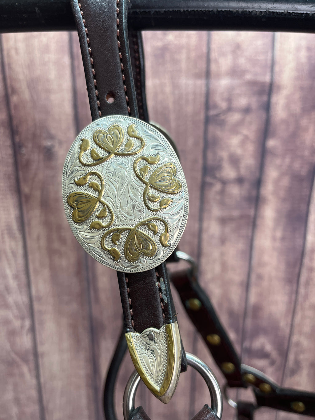 Broken Horn Sterling Overlay Weanling halter
