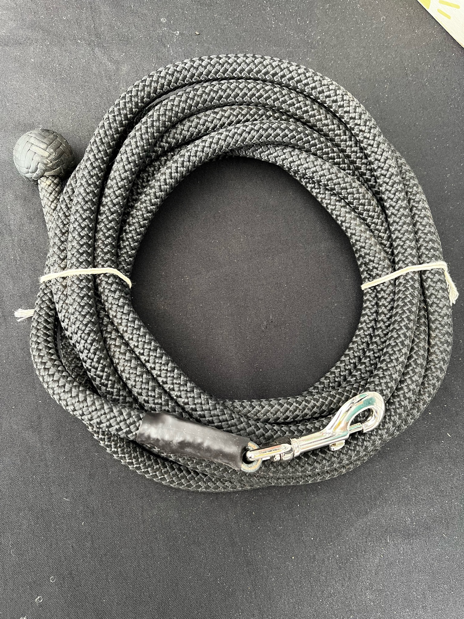 Longeline With Swivel Snap