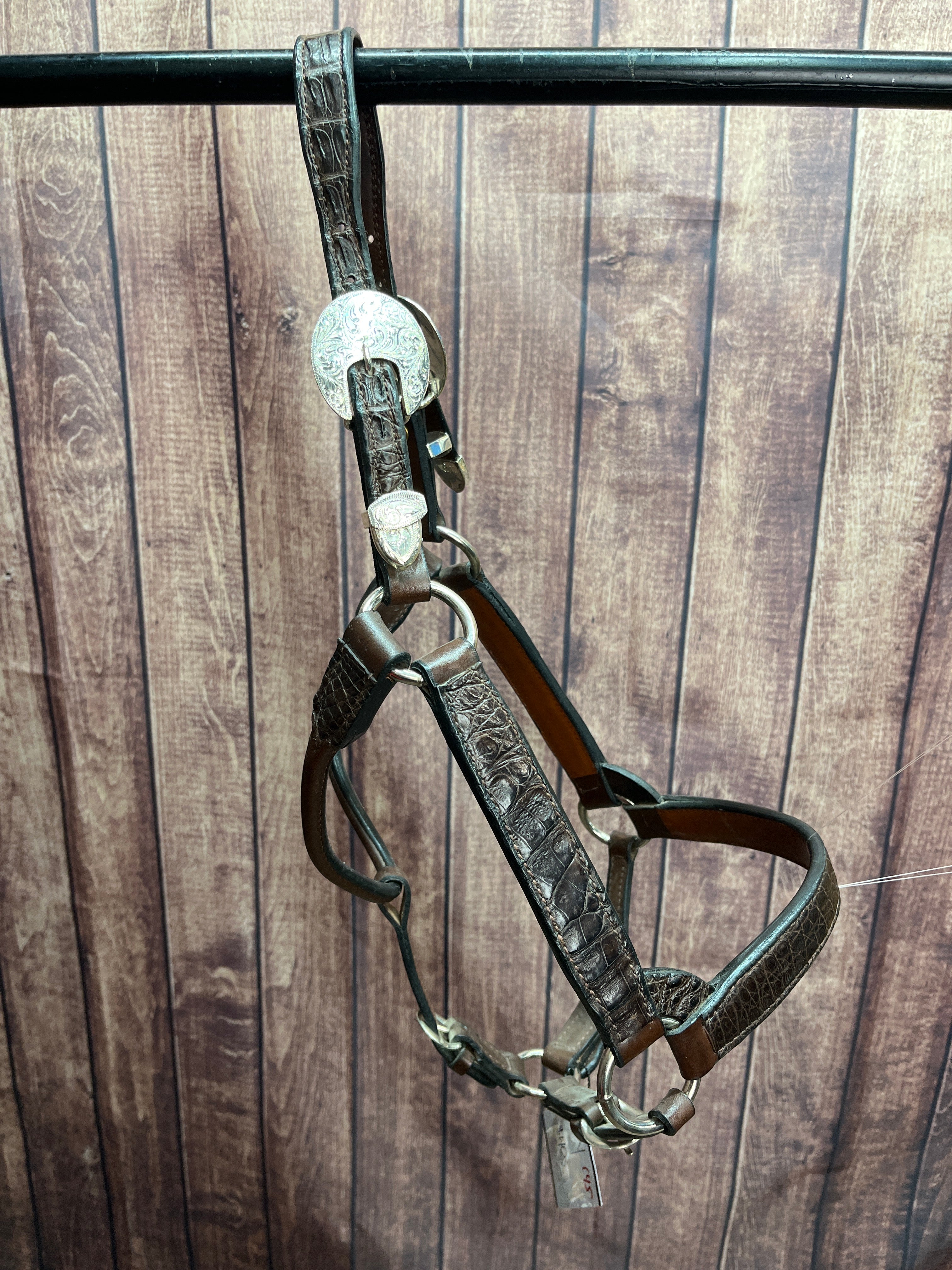 Caiman Halter #45 Yearling