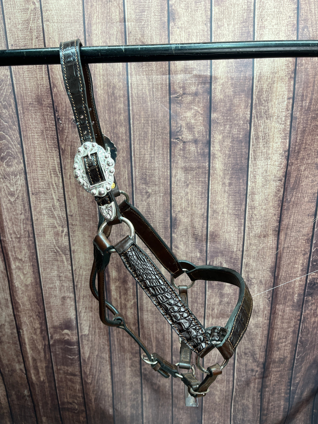 Caiman Halter #34 2Yr/Mare