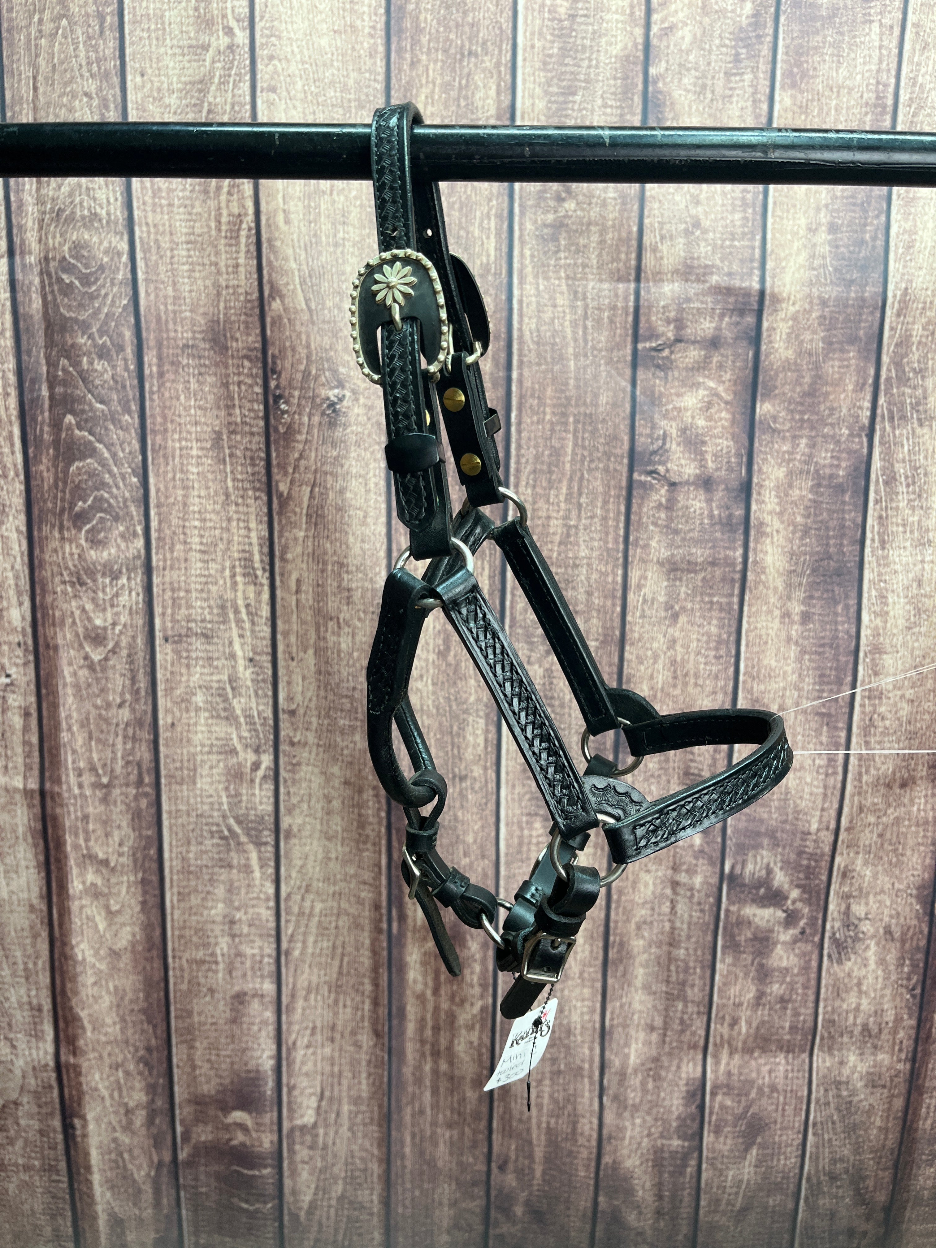 Mini C Tooled Halter #1
