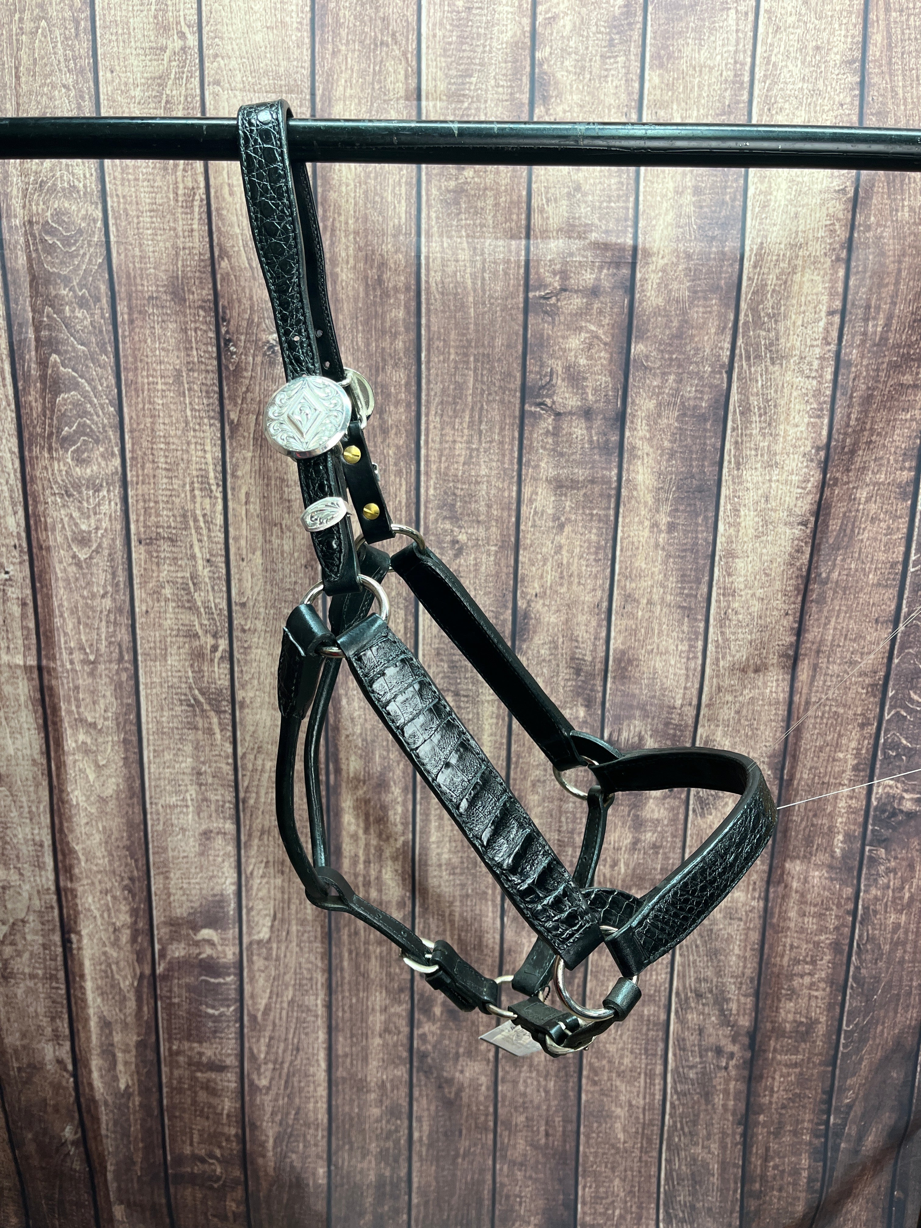 Ostrich Halter #9 Horse