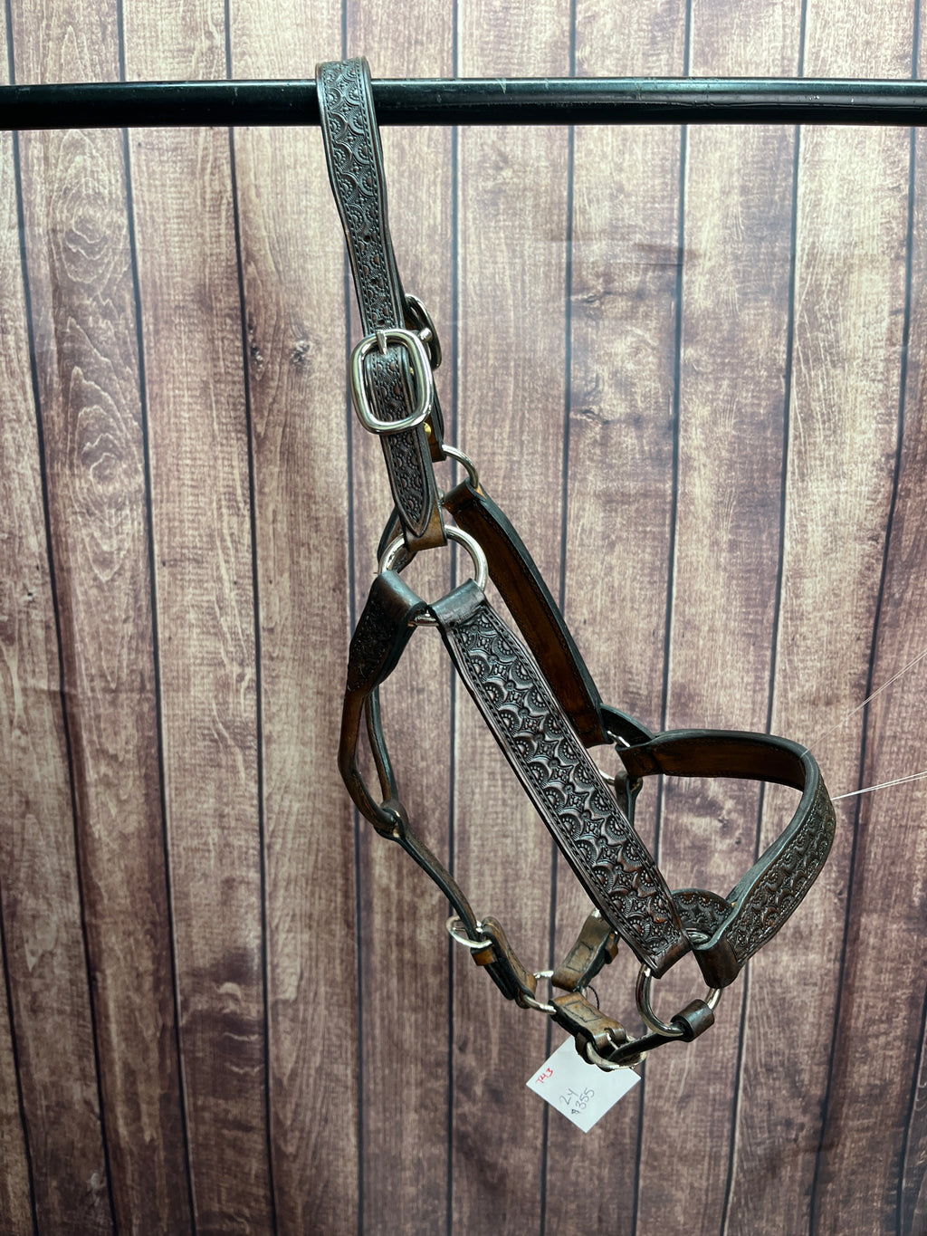 Tooled Halter #43 2Yr/Mare