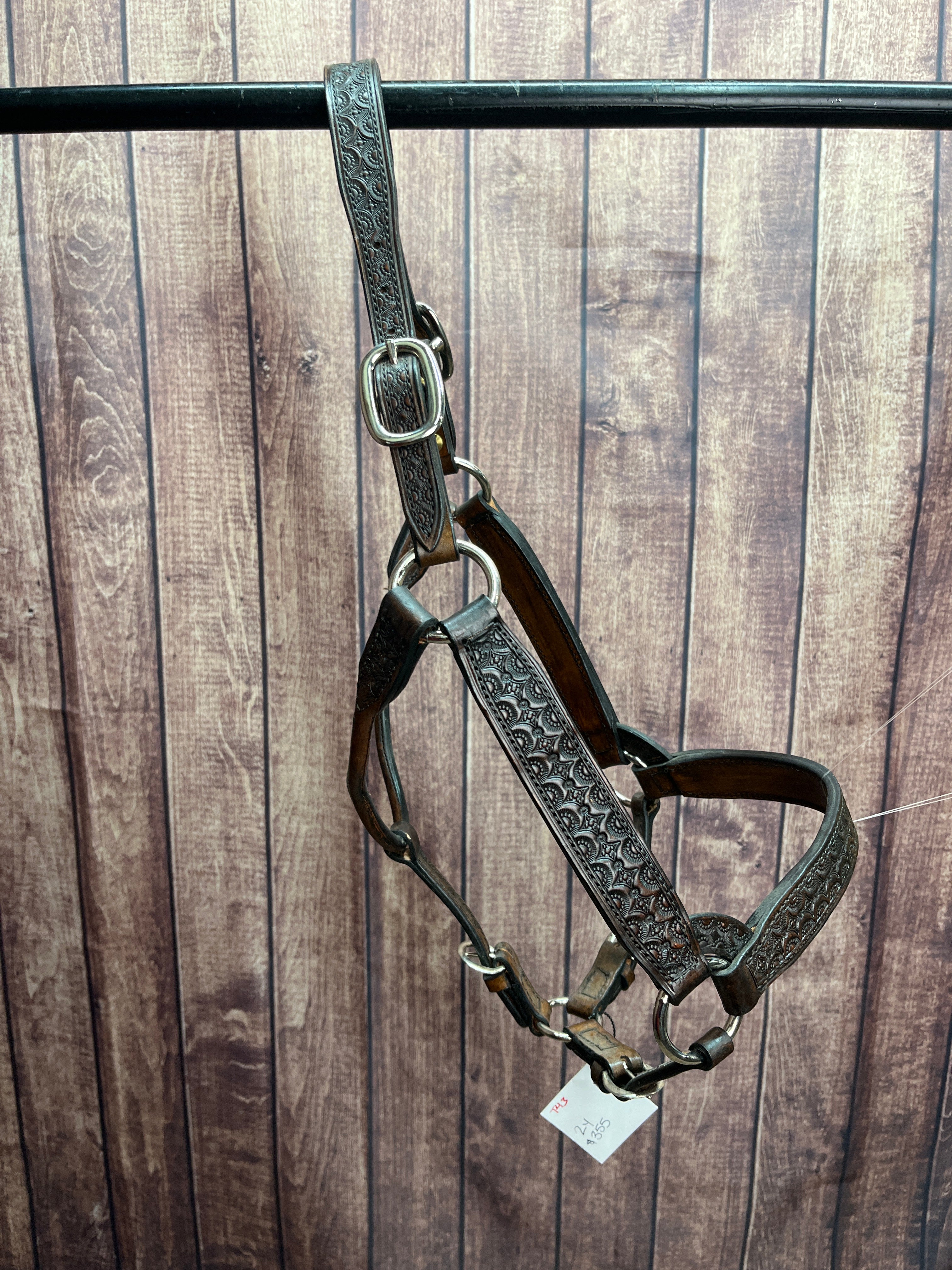 Tooled Halter #43 2Yr/Mare