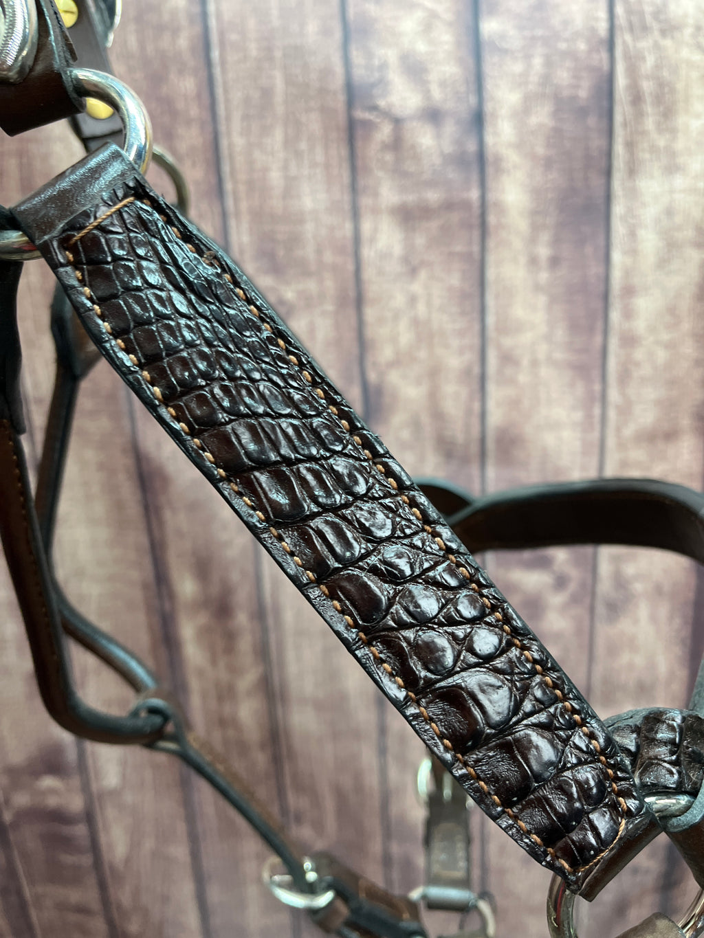 Caiman Halter #34 2Yr/Mare