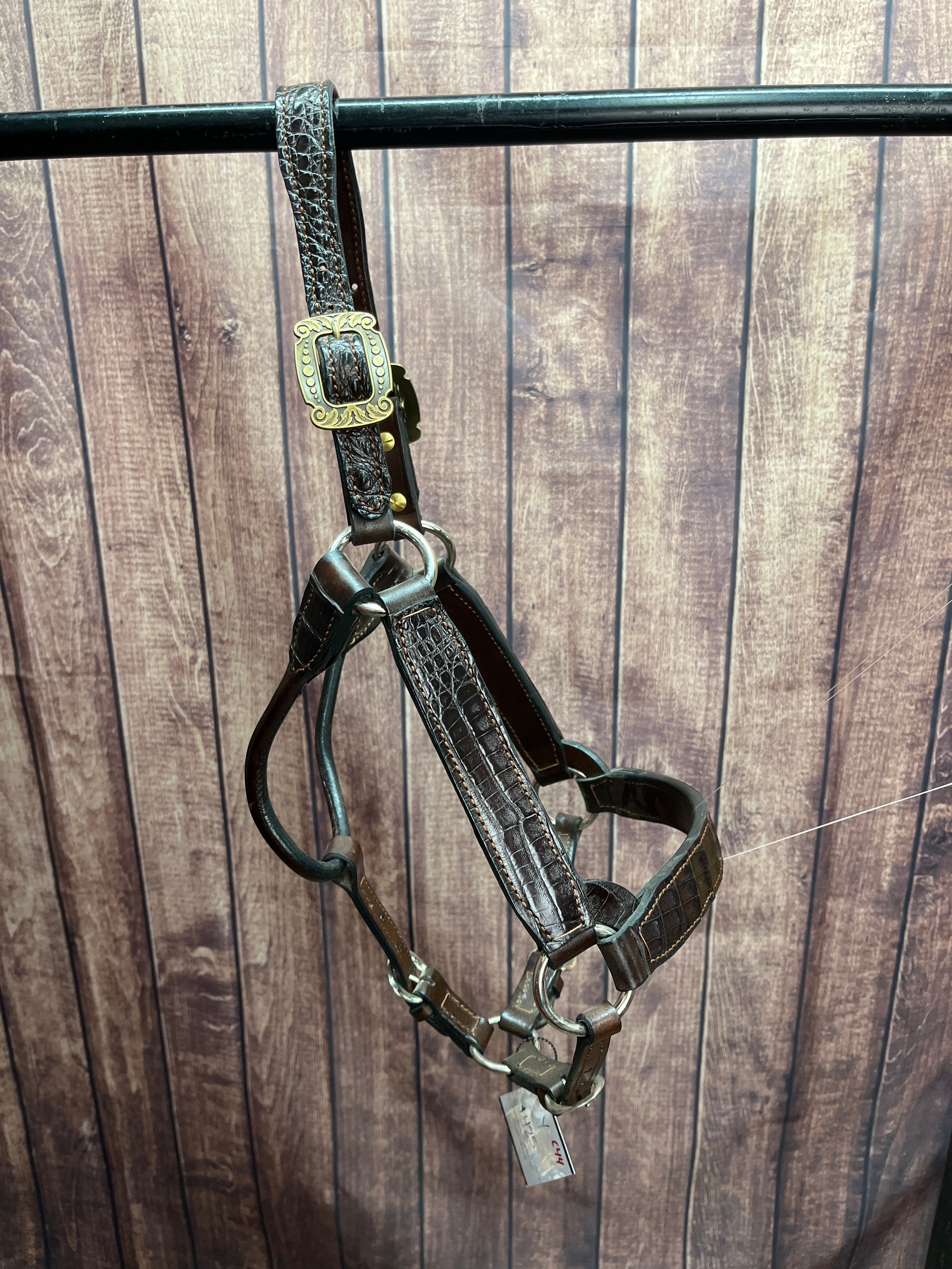 Caiman Halter #44 Yearling