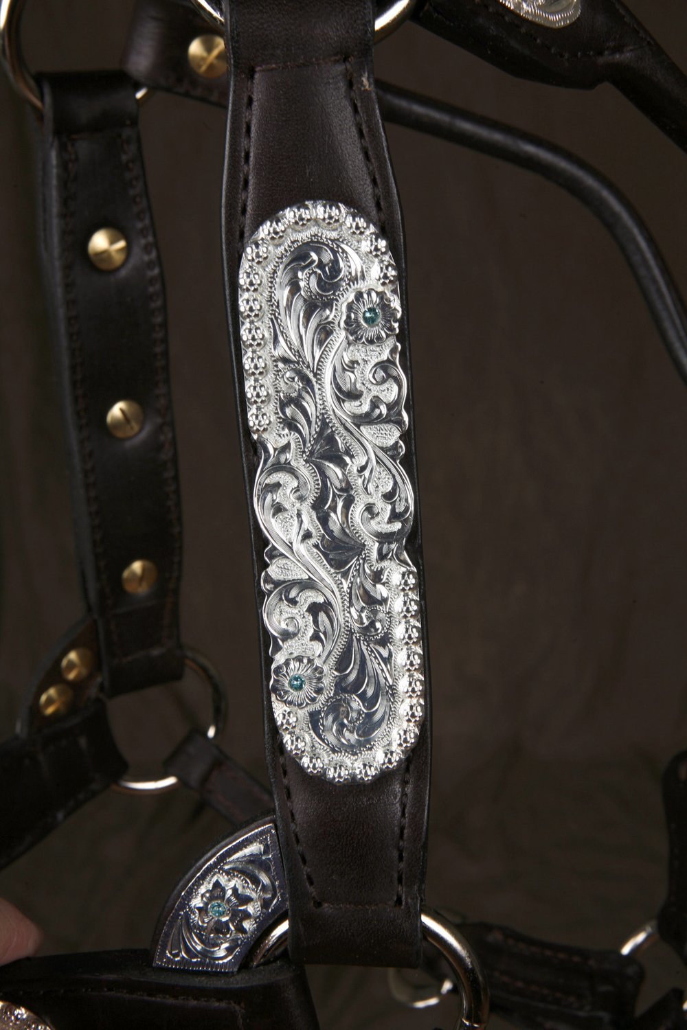 #205 Santana Halter