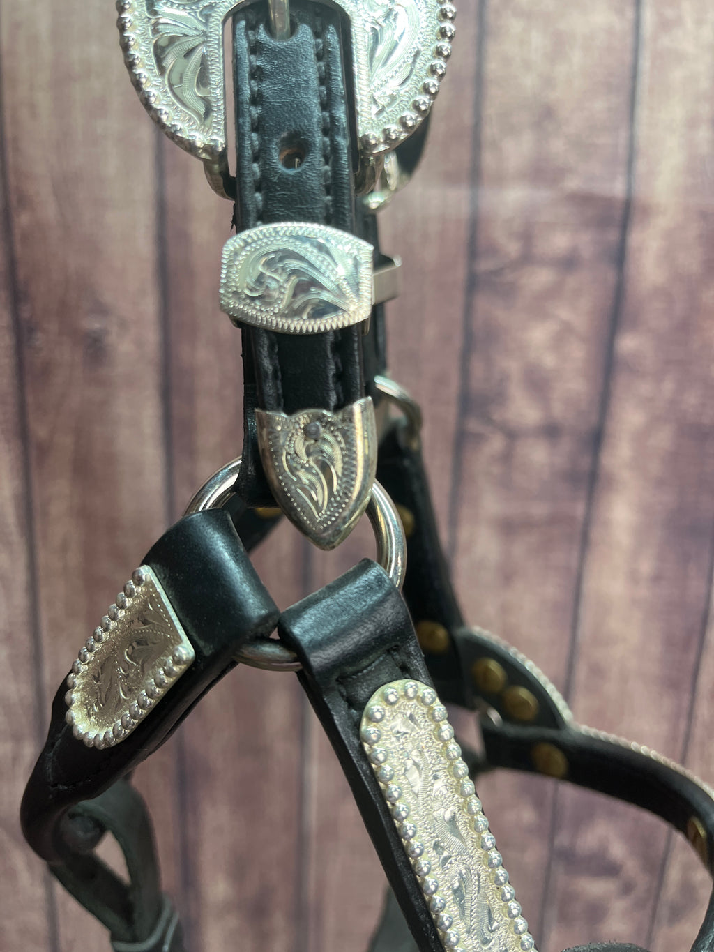 Mini A Santana Halter #100