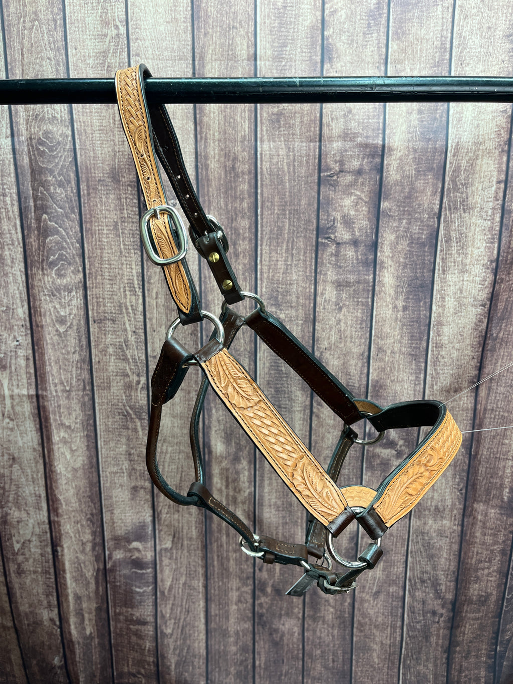 Tooled Halter #26 2Yr/Mare