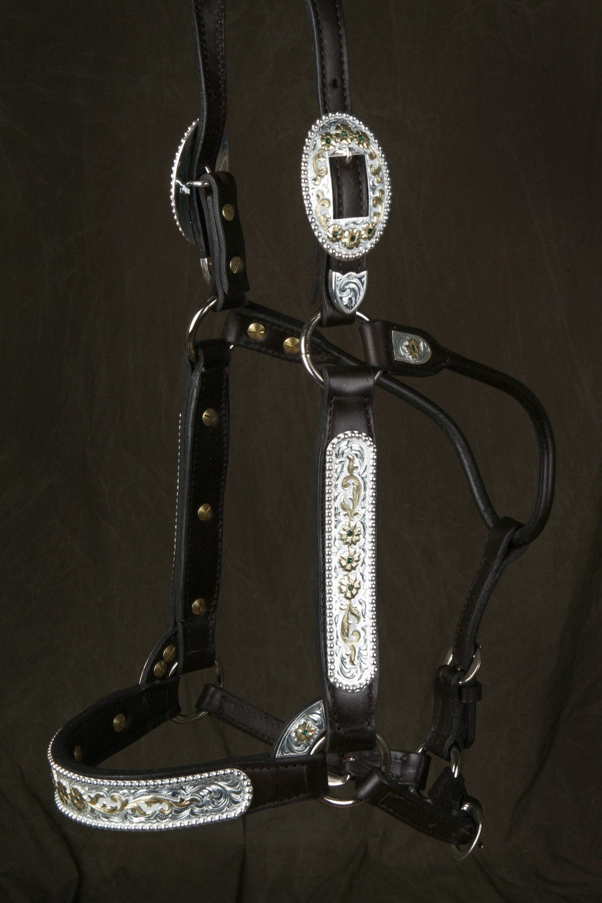#290 Santana Halter