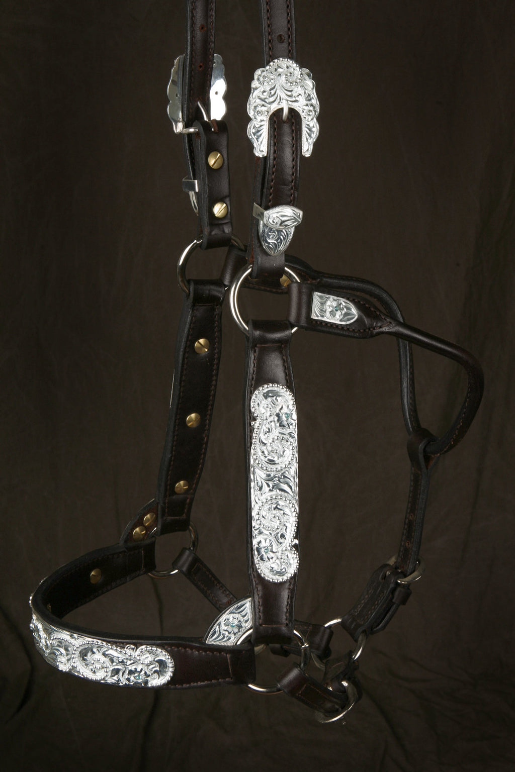 #345 Santana Halter