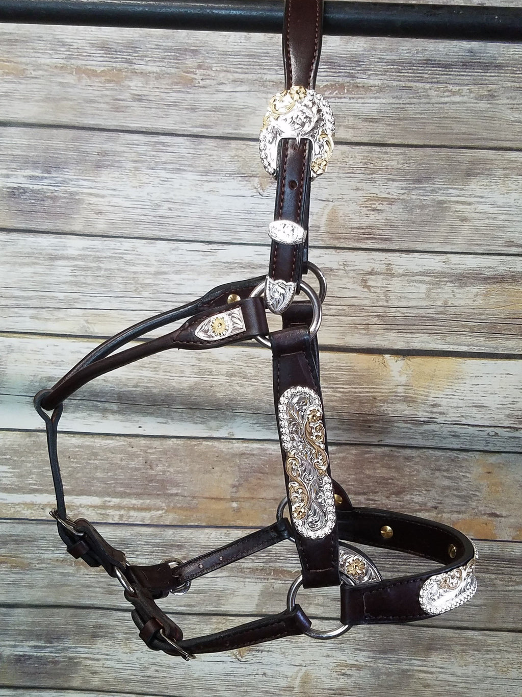 #210 Santana Halter