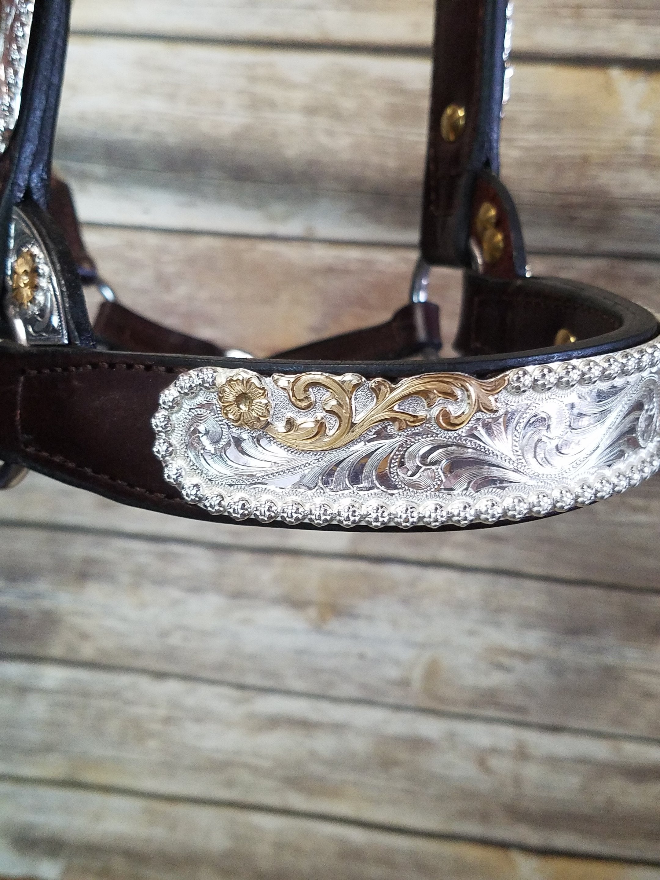 #210 Santana Halter