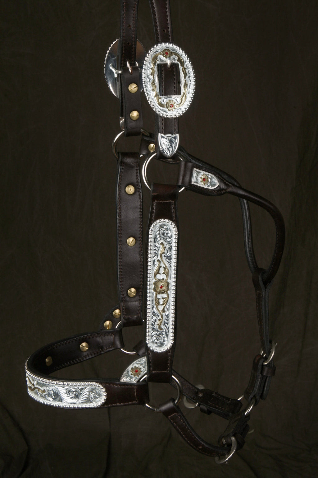 #225 Santana Halter