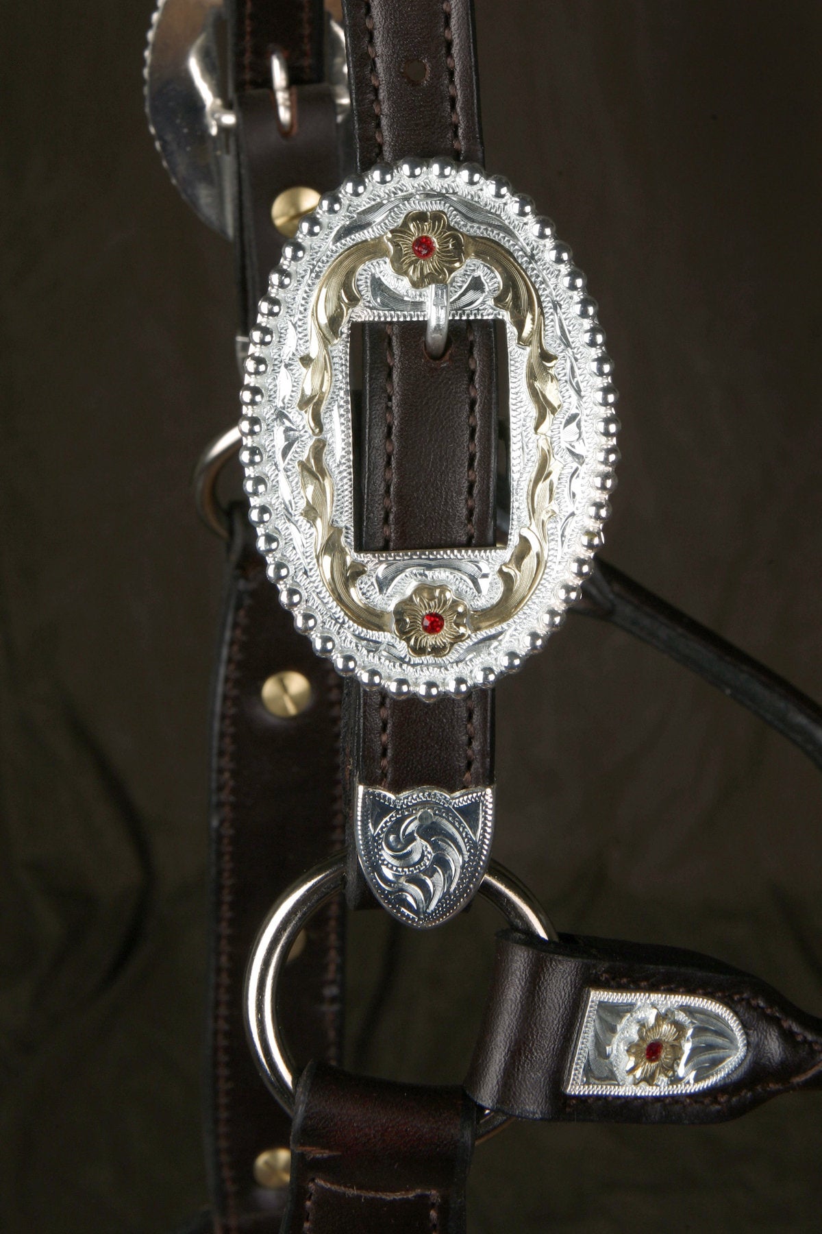 #225 Santana Halter