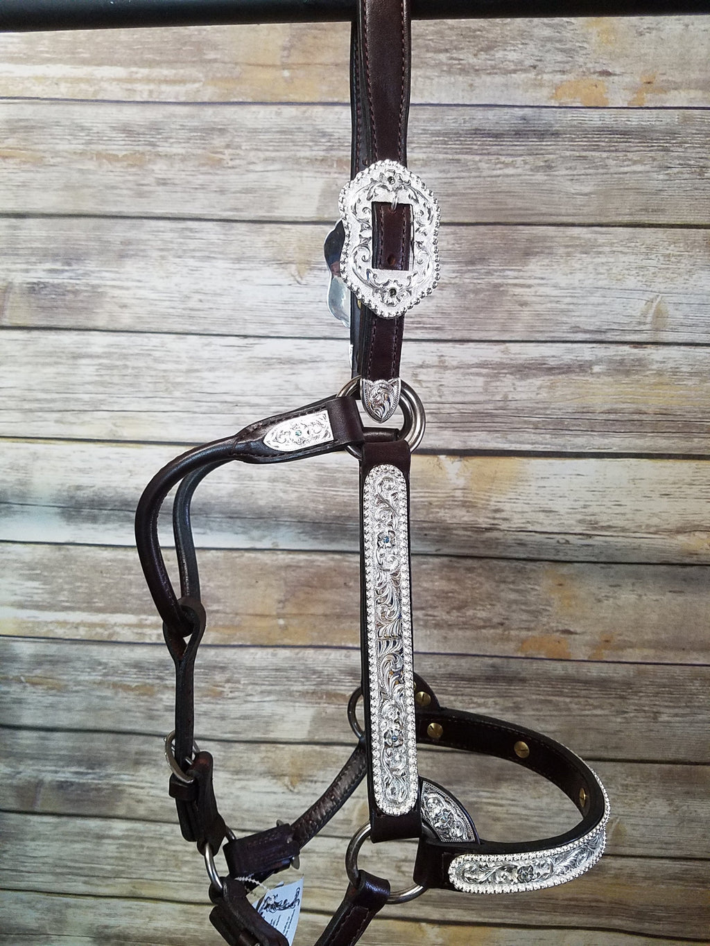 #255 Santana Halter