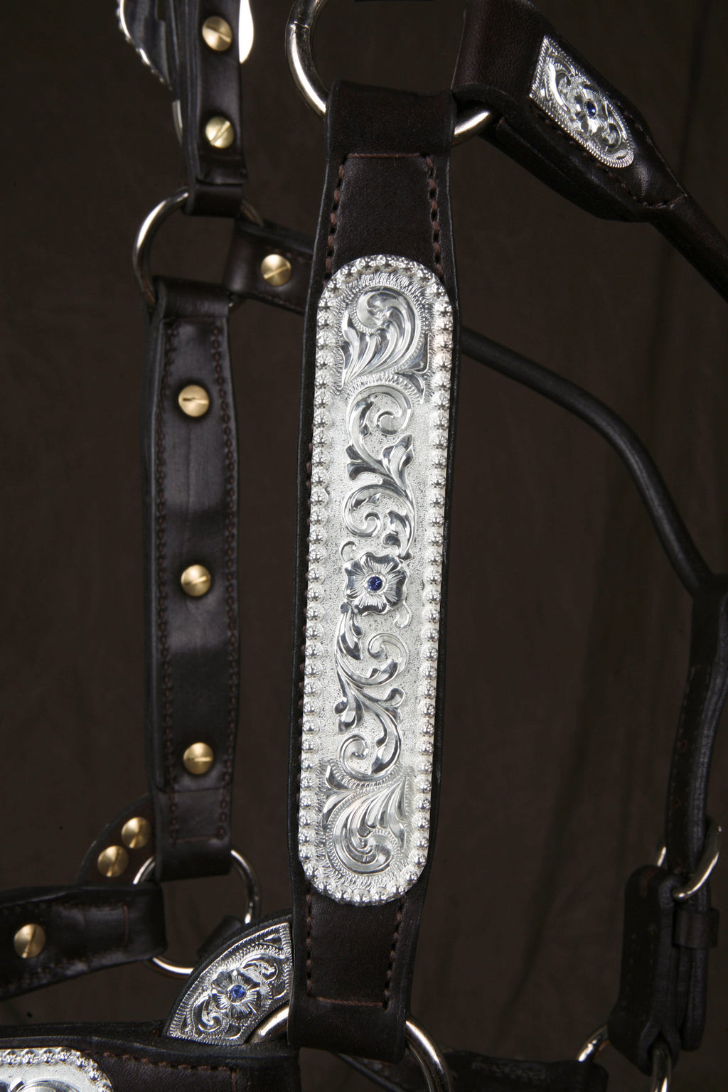 #255 Santana Halter