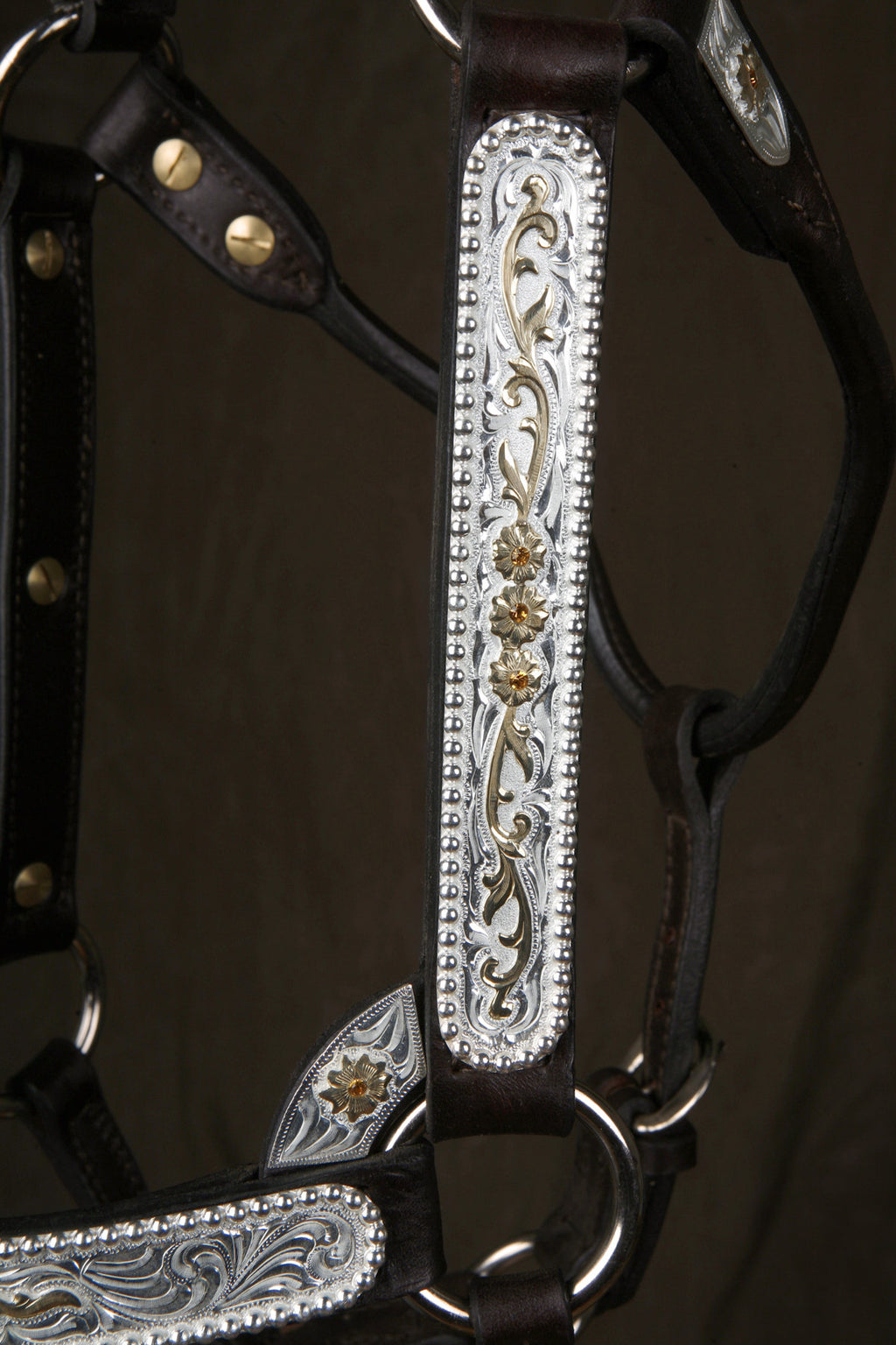 #290 Santana Halter